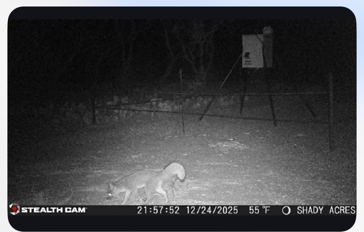 8108 FM2111, Winters, TX, 79567