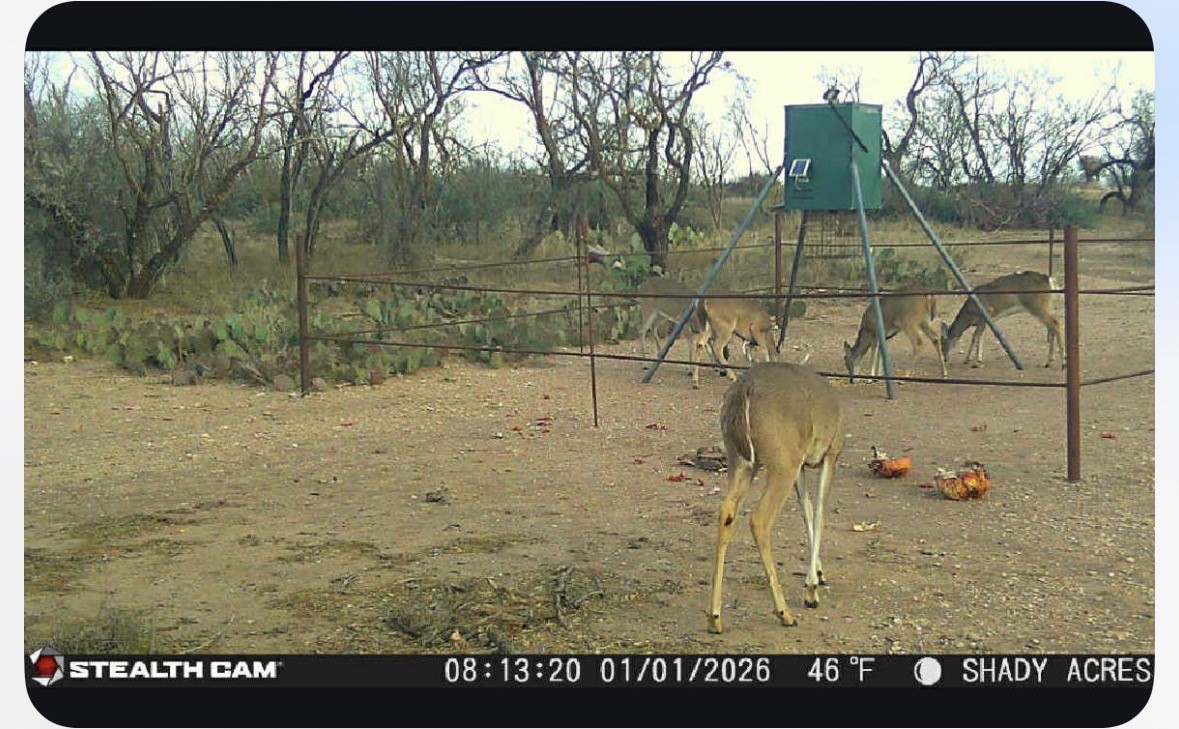 8108 FM2111, Winters, TX, 79567