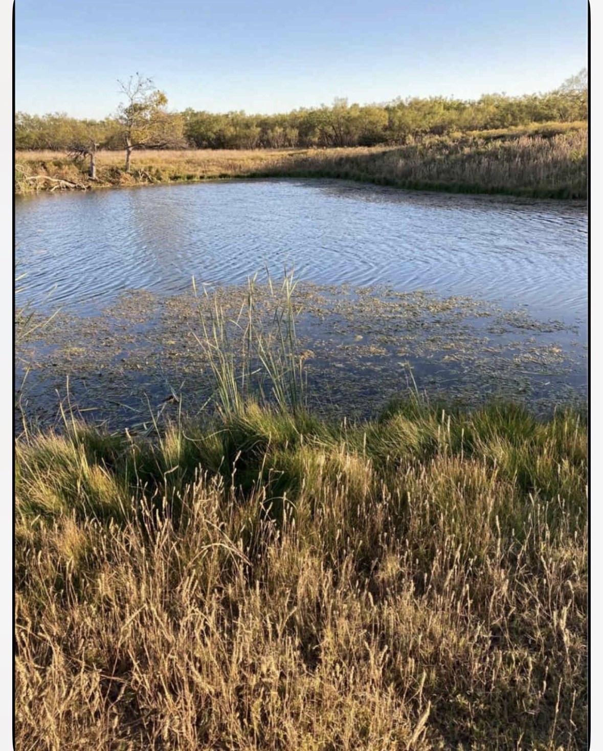 8108 FM2111, Winters, TX, 79567