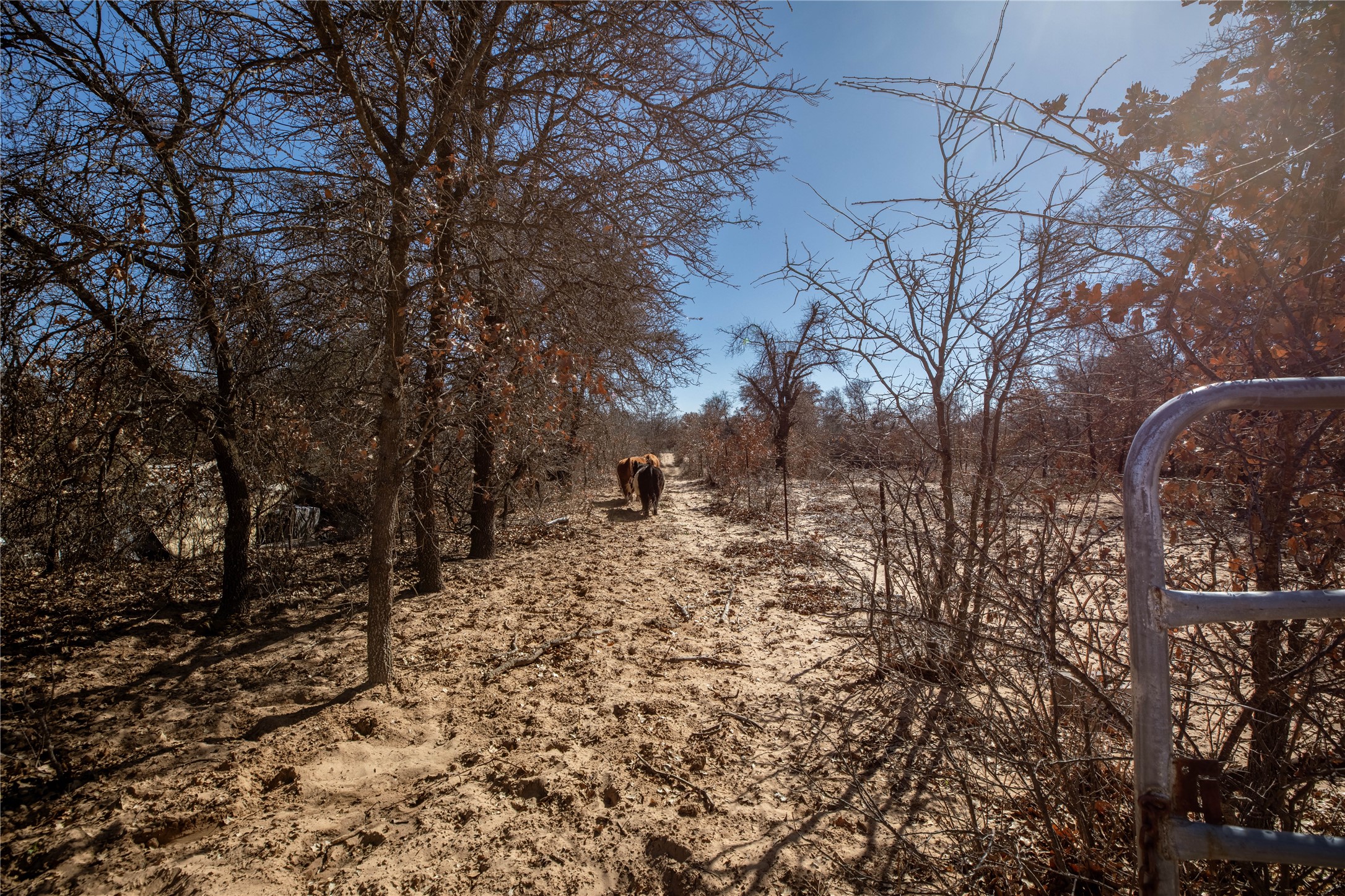 6199 County Road 335, Anson, TX, 79501