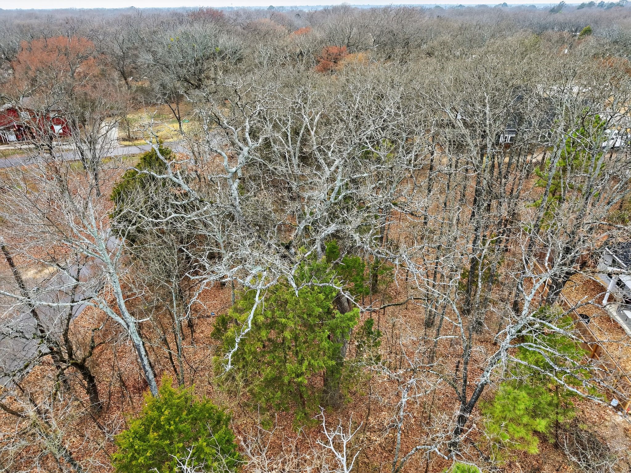 Lots 710, 711 Granada Street, Payne Springs, TX, 75156