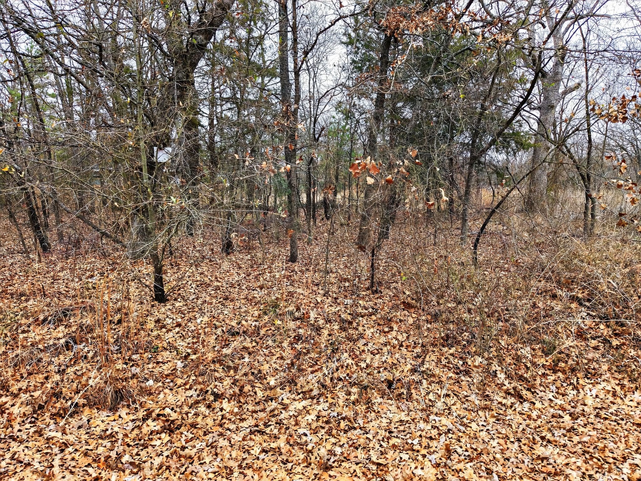 Lots 710, 711 Granada Street, Payne Springs, TX, 75156