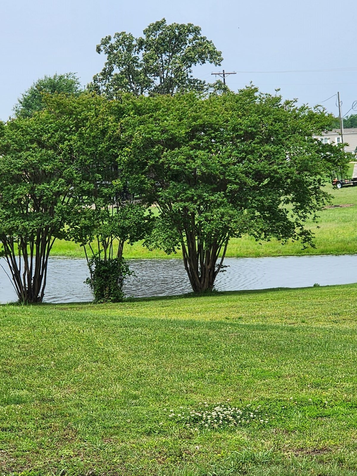 191 Sioux, Quitman, TX, 75783