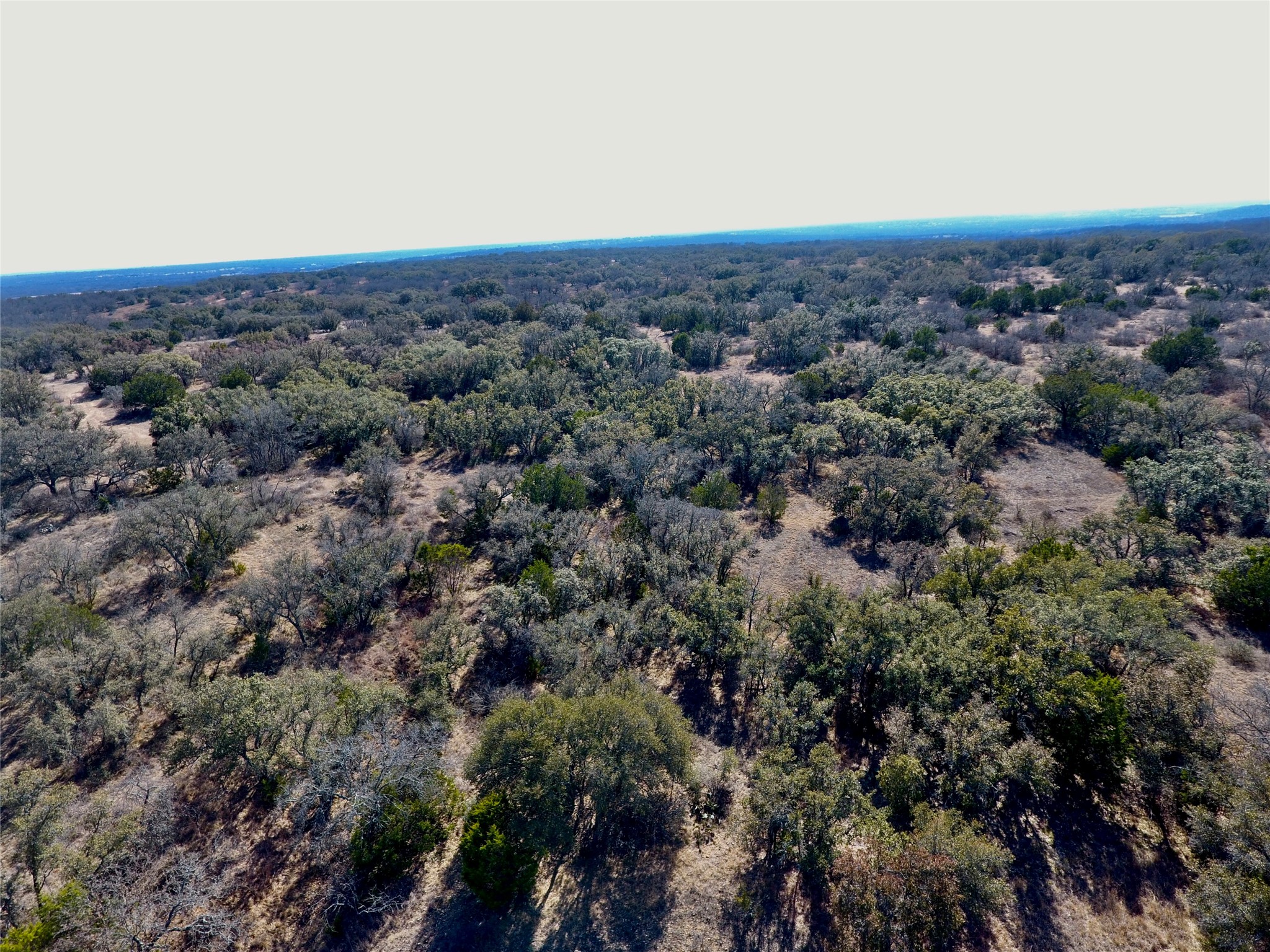 219 CR 550, Mullin, TX, 76864