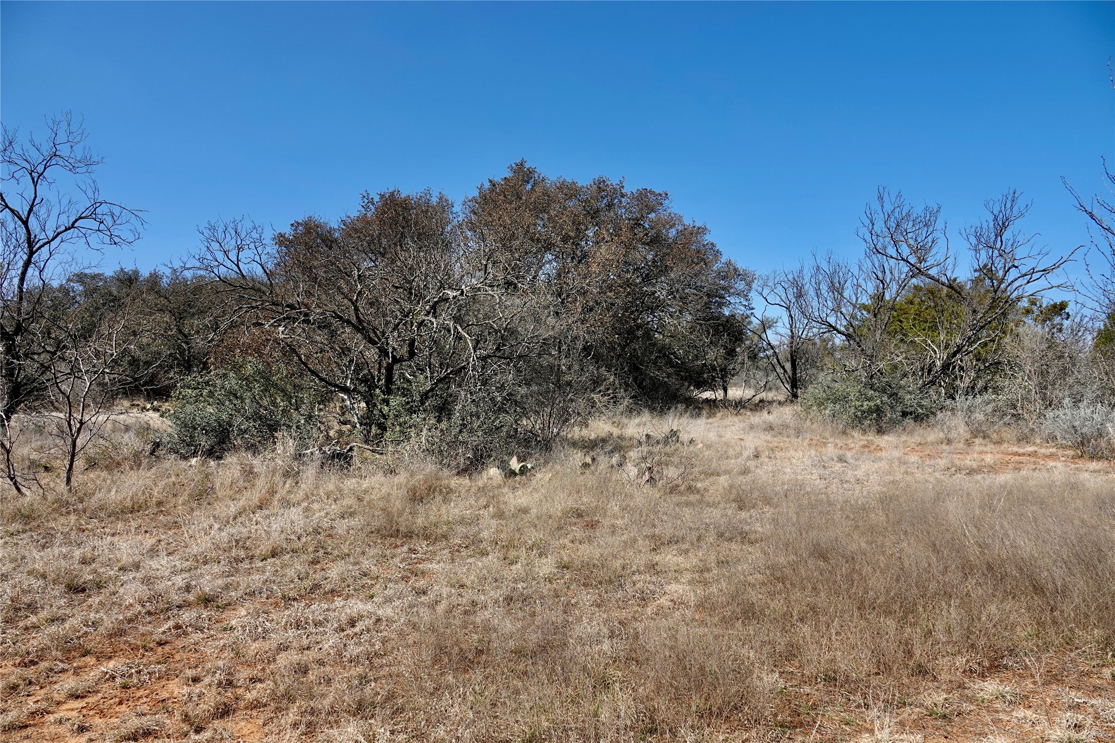 219 CR 550, Mullin, TX, 76864