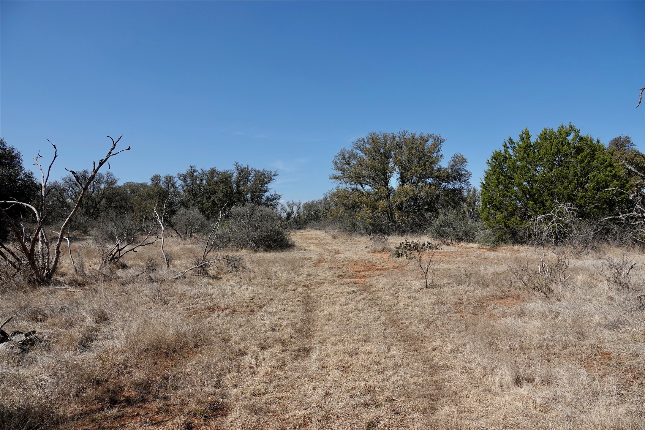 219 CR 550, Mullin, TX, 76864