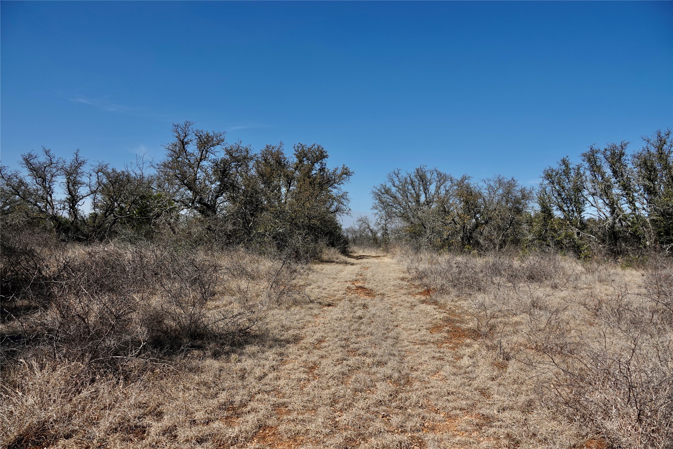 219 CR 550, Mullin, TX, 76864