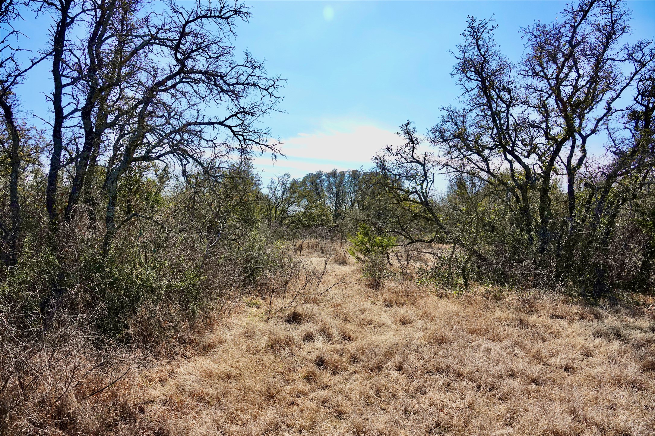 219 CR 550, Mullin, TX, 76864