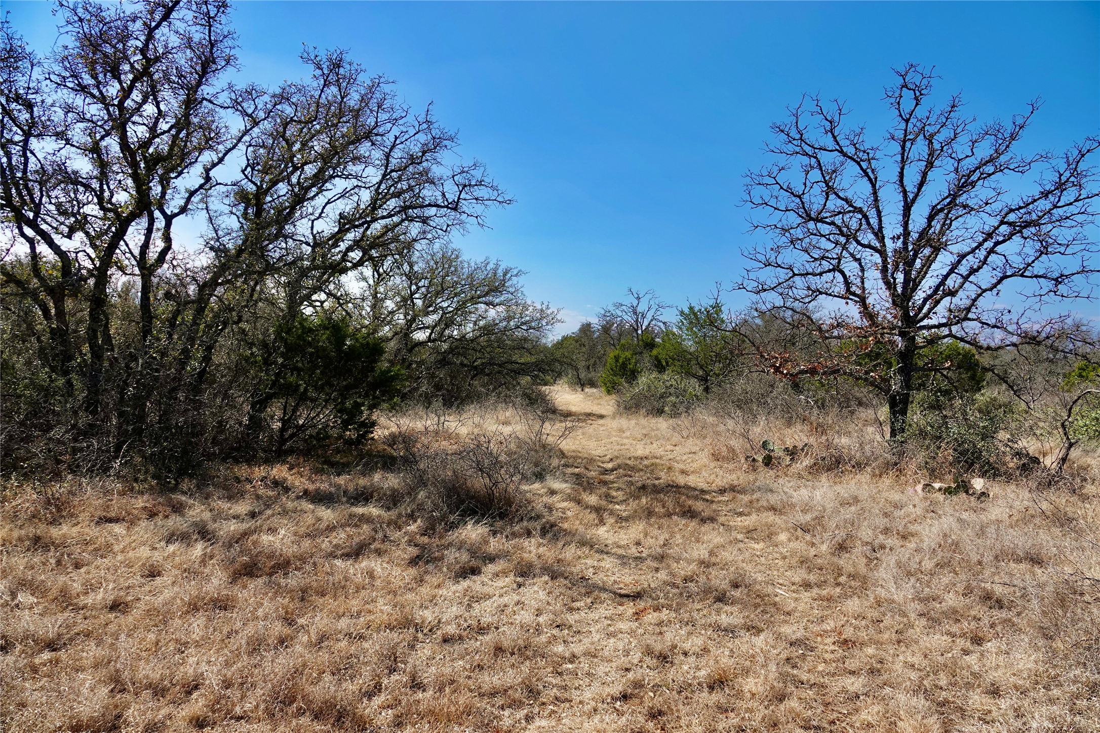 219 CR 550, Mullin, TX, 76864
