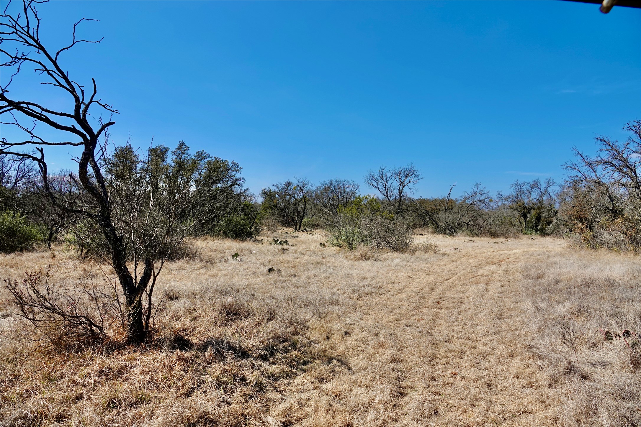 219 CR 550, Mullin, TX, 76864