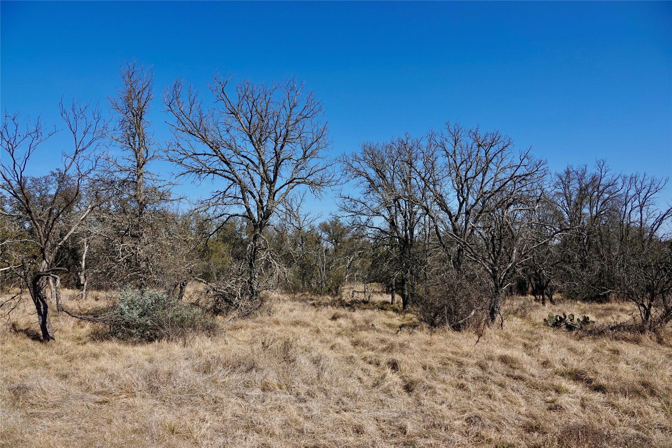 219 CR 550, Mullin, TX, 76864