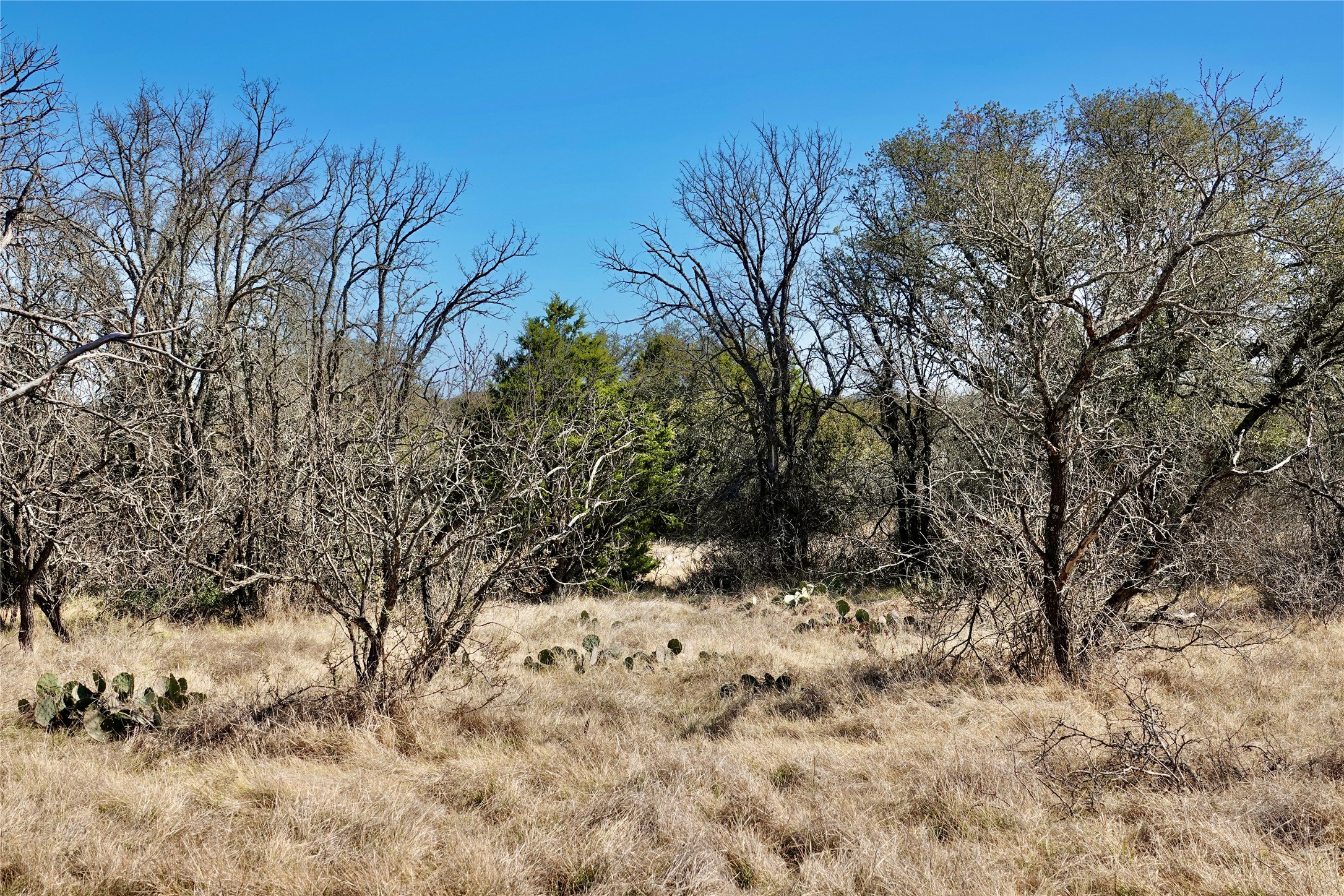 219 CR 550, Mullin, TX, 76864