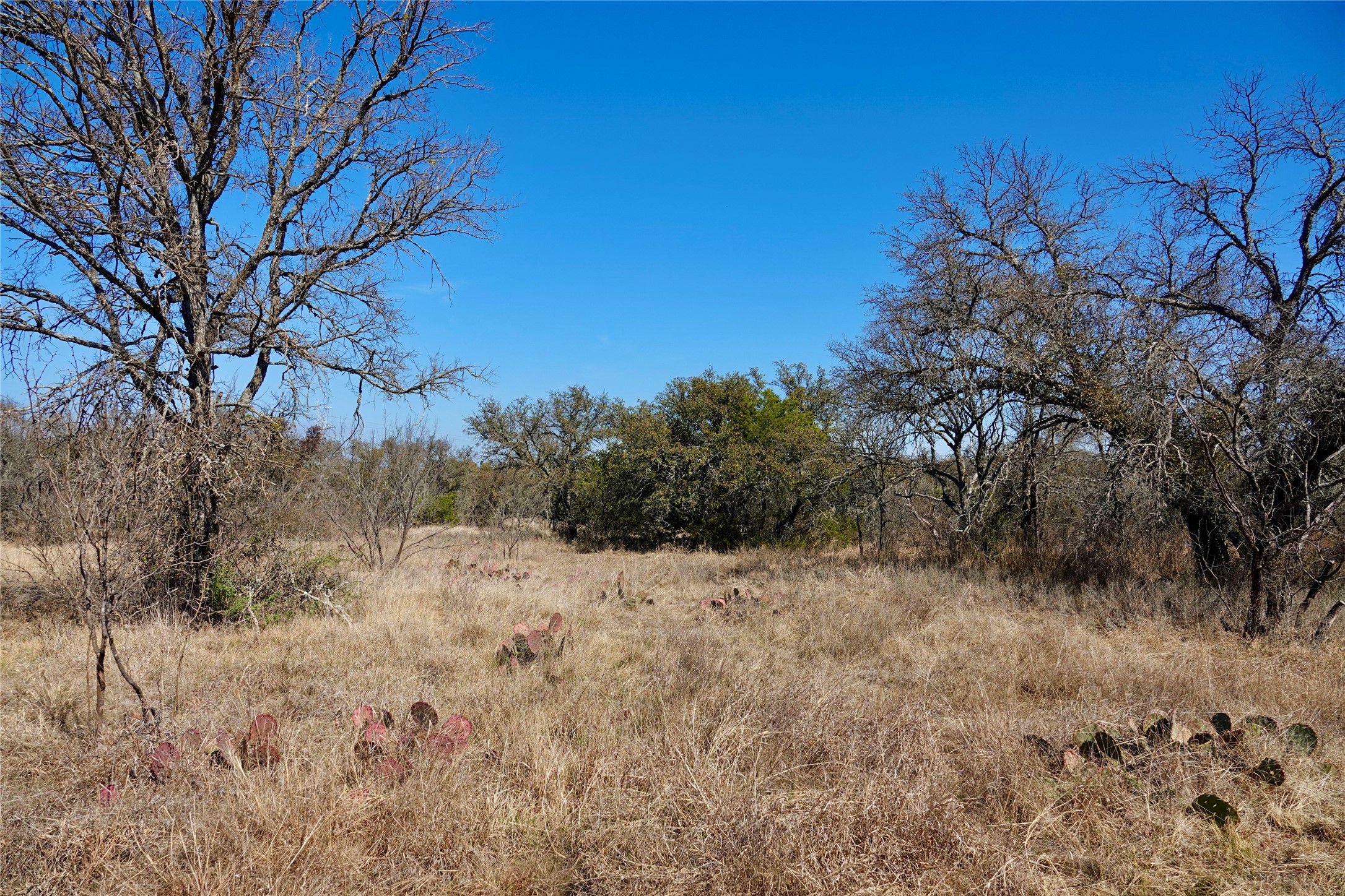 219 CR 550, Mullin, TX, 76864