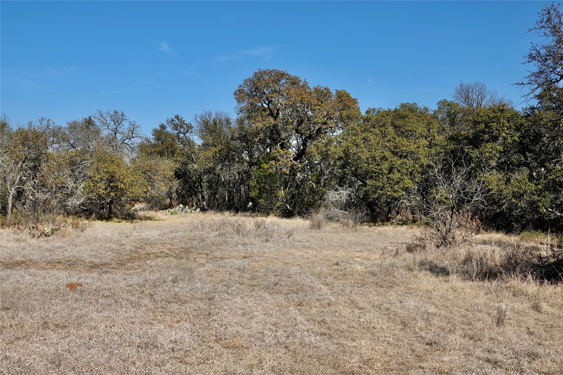 219 CR 550, Mullin, TX, 76864