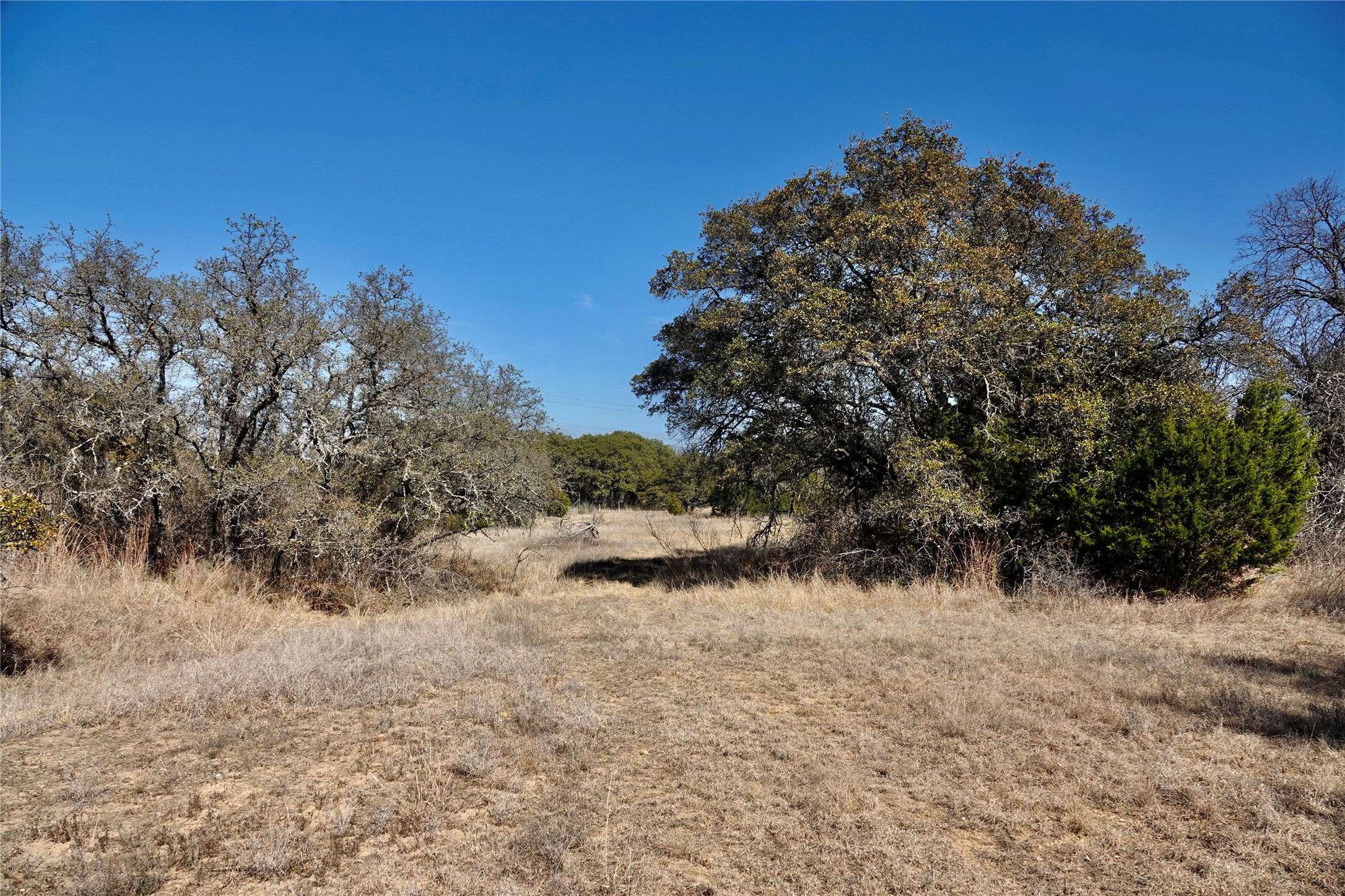 219 CR 550, Mullin, TX, 76864