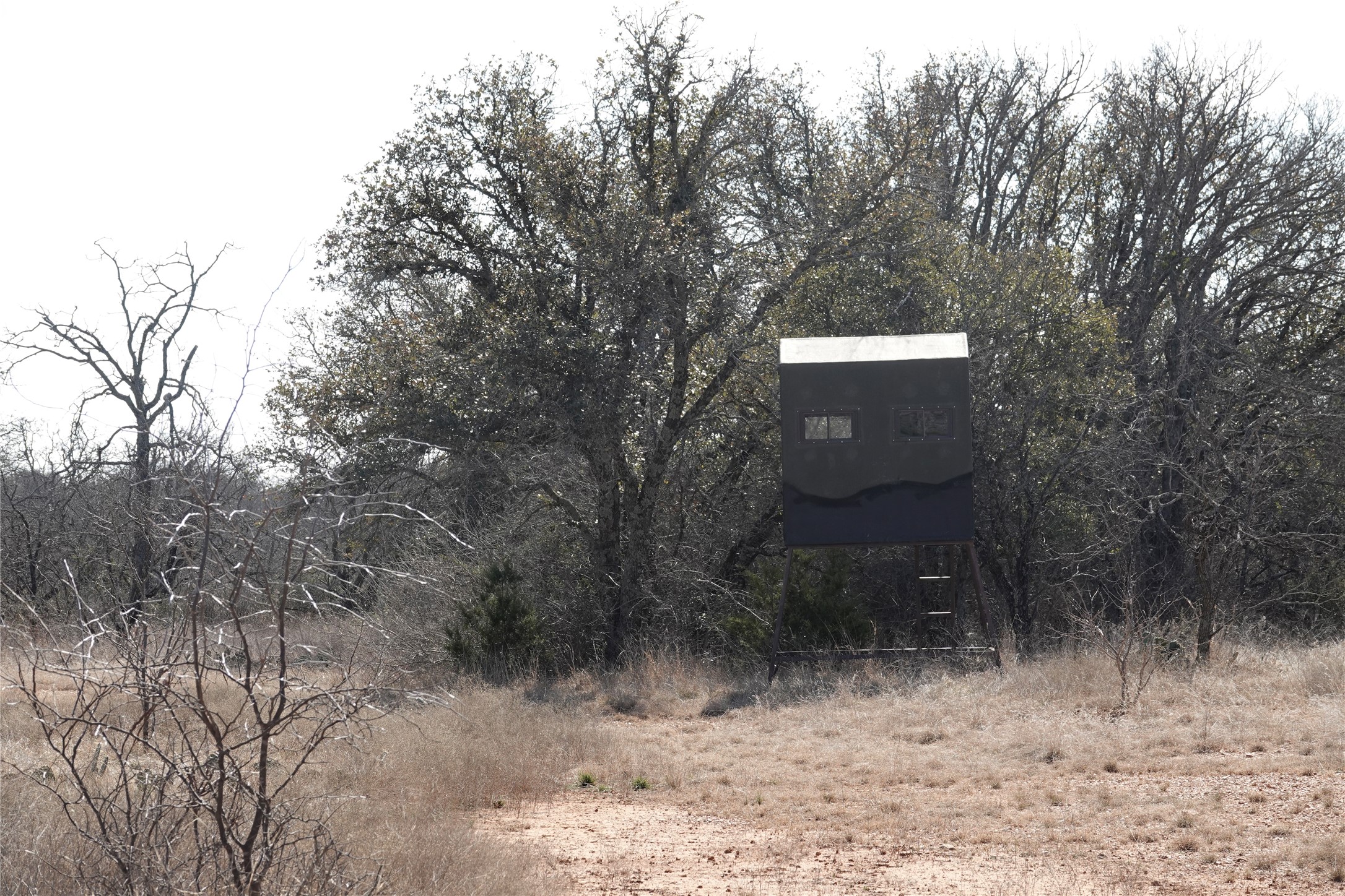 219 CR 550, Mullin, TX, 76864