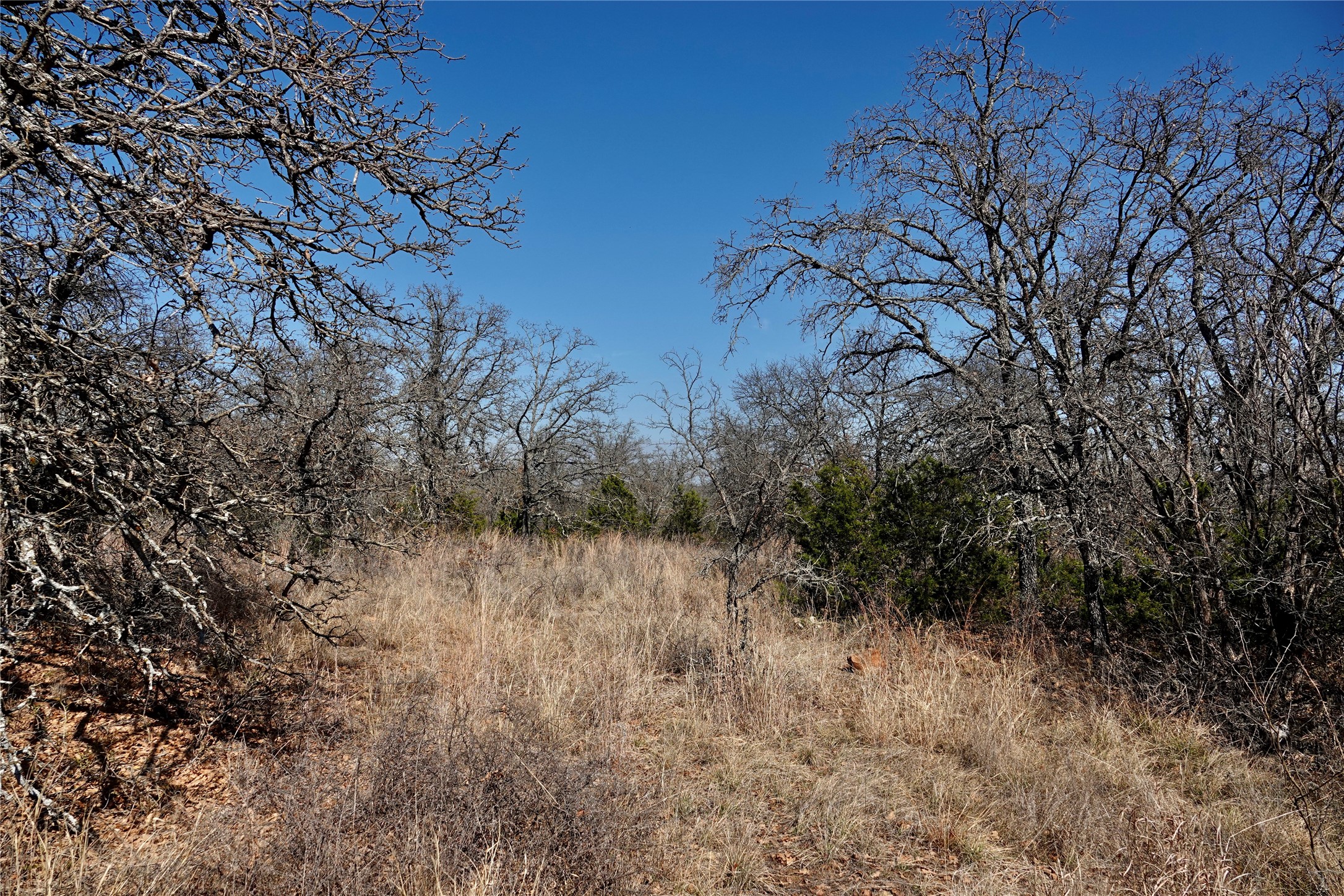 219 CR 550, Mullin, TX, 76864