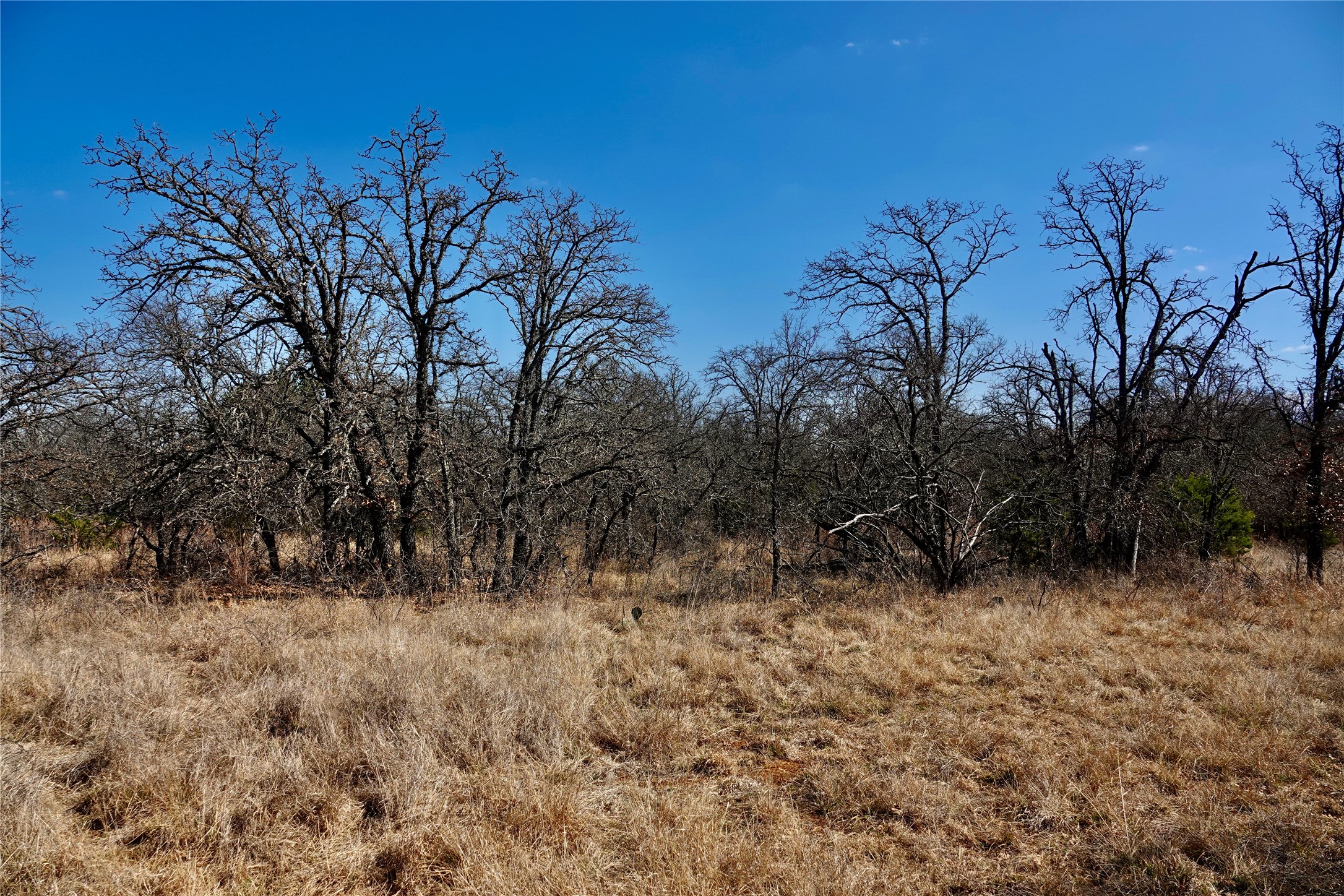 219 CR 550, Mullin, TX, 76864