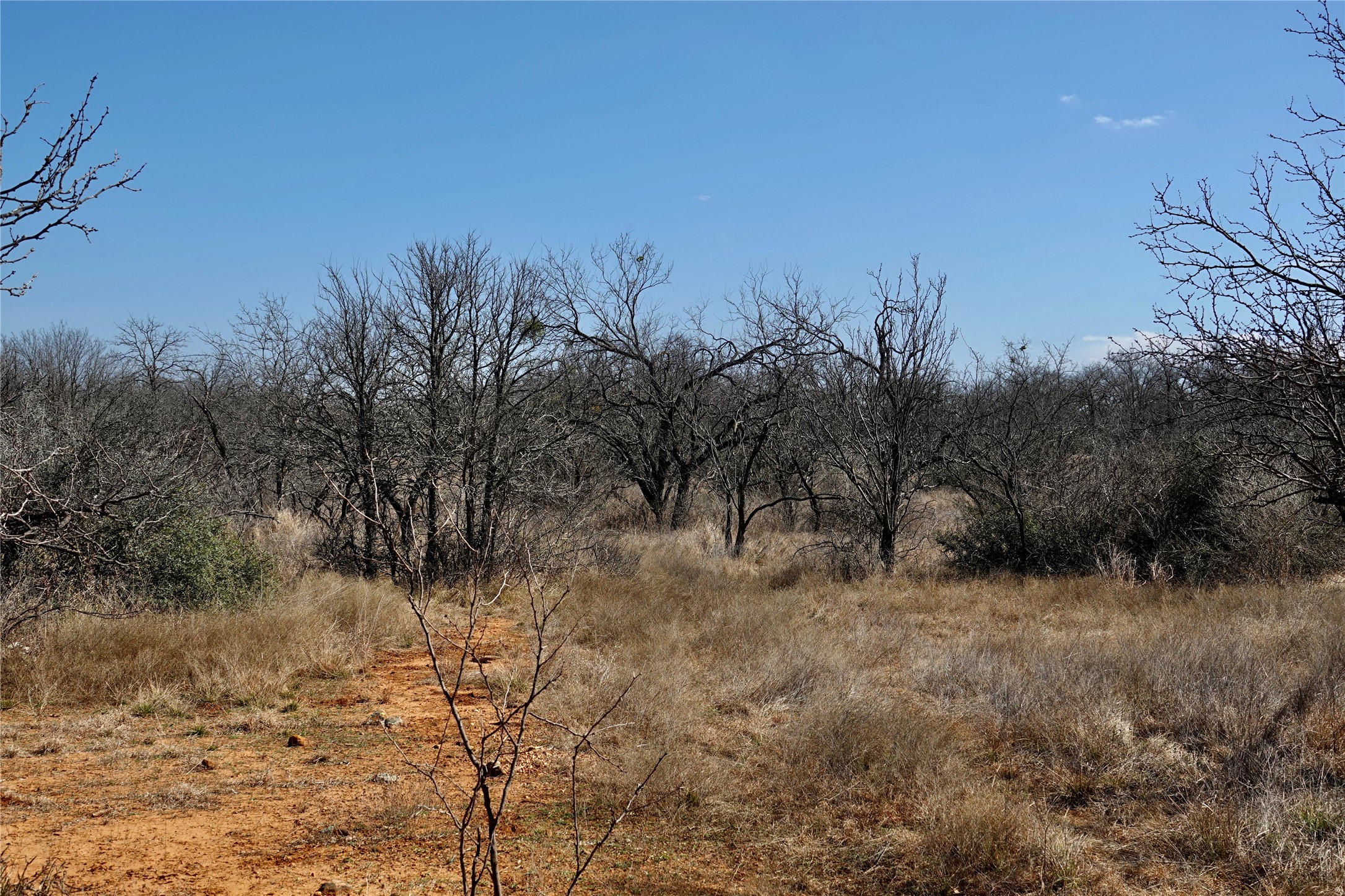 219 CR 550, Mullin, TX, 76864