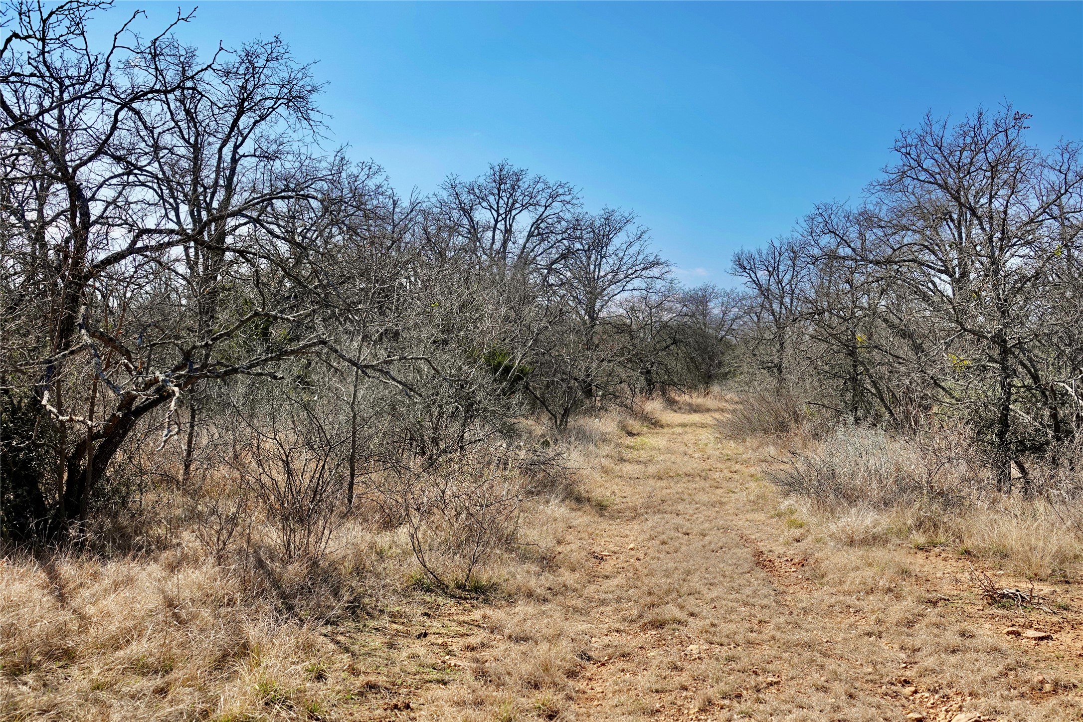 219 CR 550, Mullin, TX, 76864