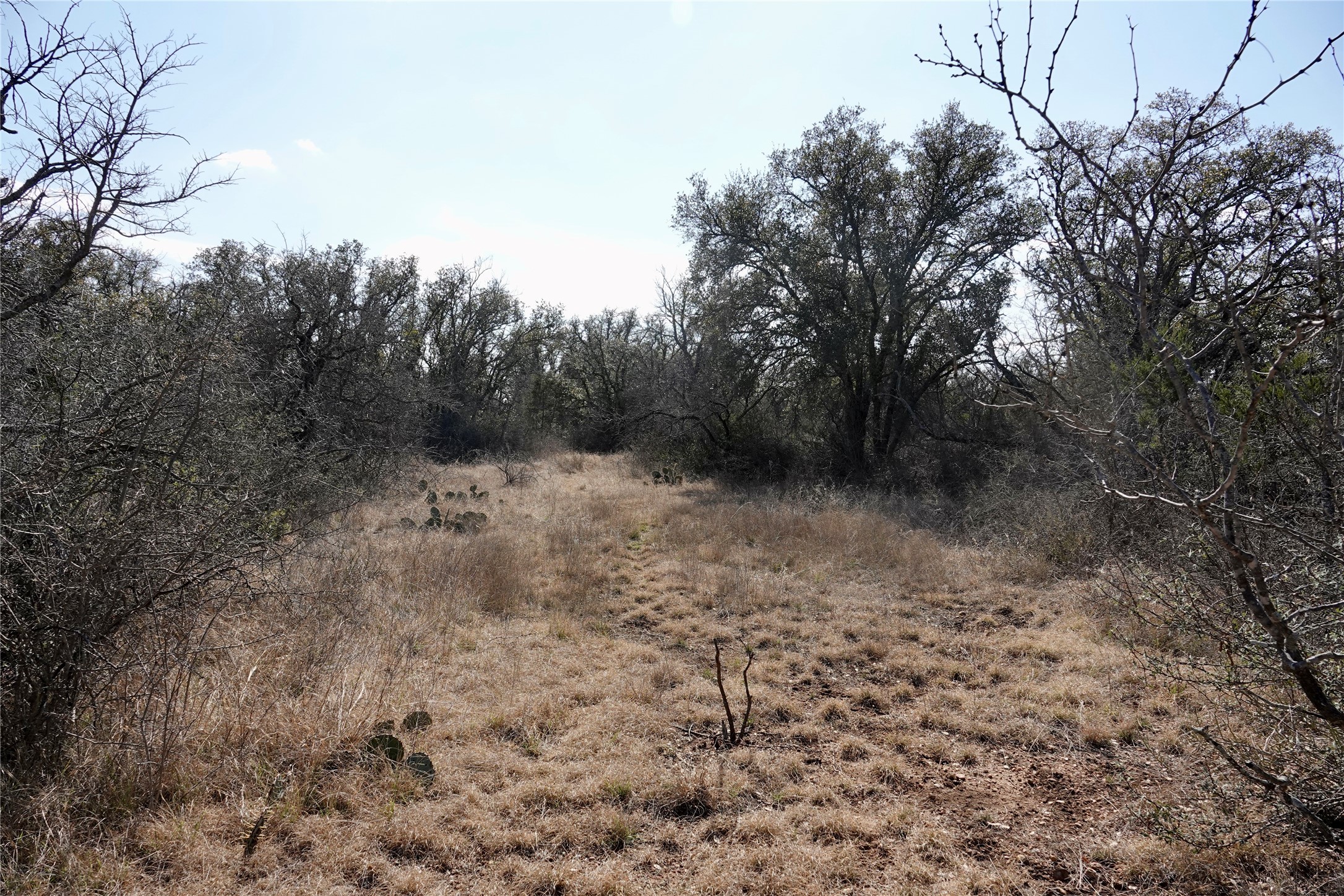 219 CR 550, Mullin, TX, 76864