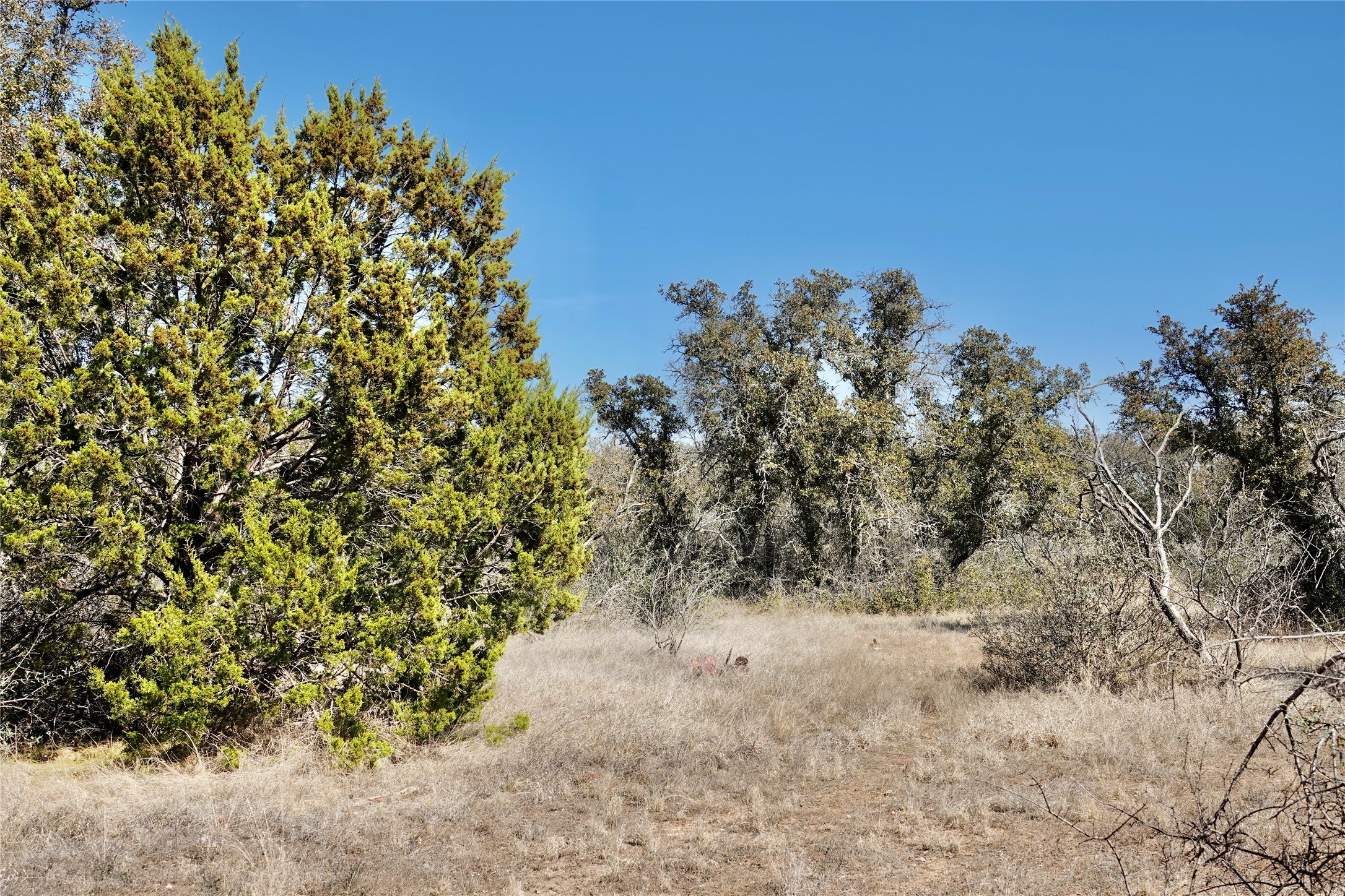 219 CR 550, Mullin, TX, 76864