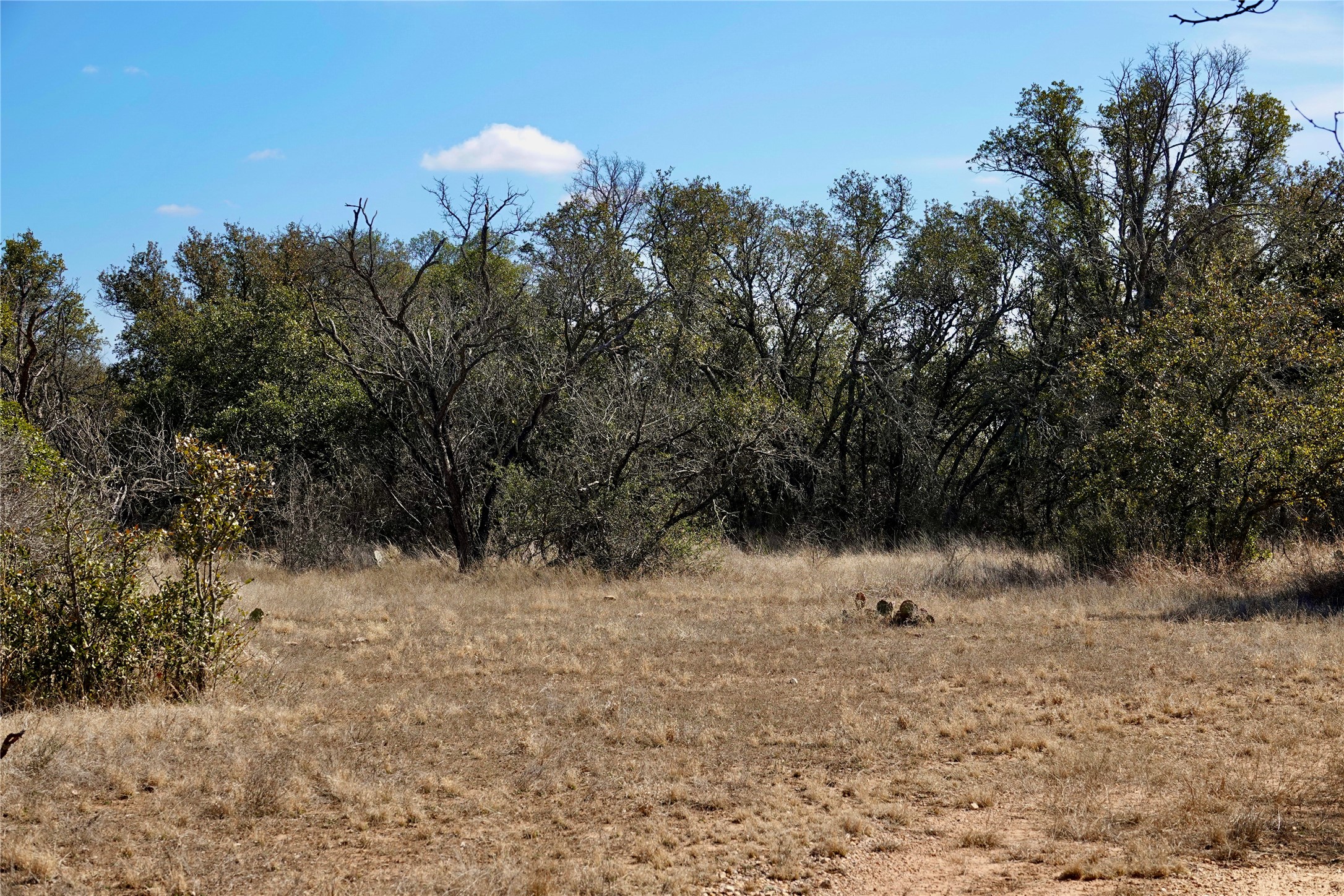219 CR 550, Mullin, TX, 76864