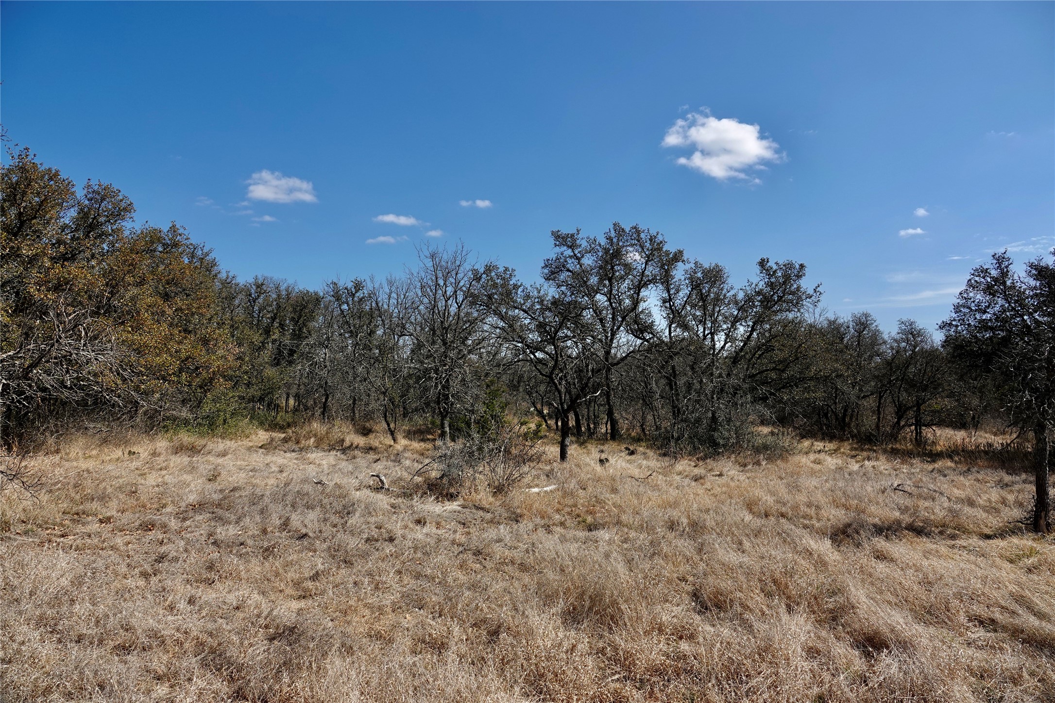 219 CR 550, Mullin, TX, 76864