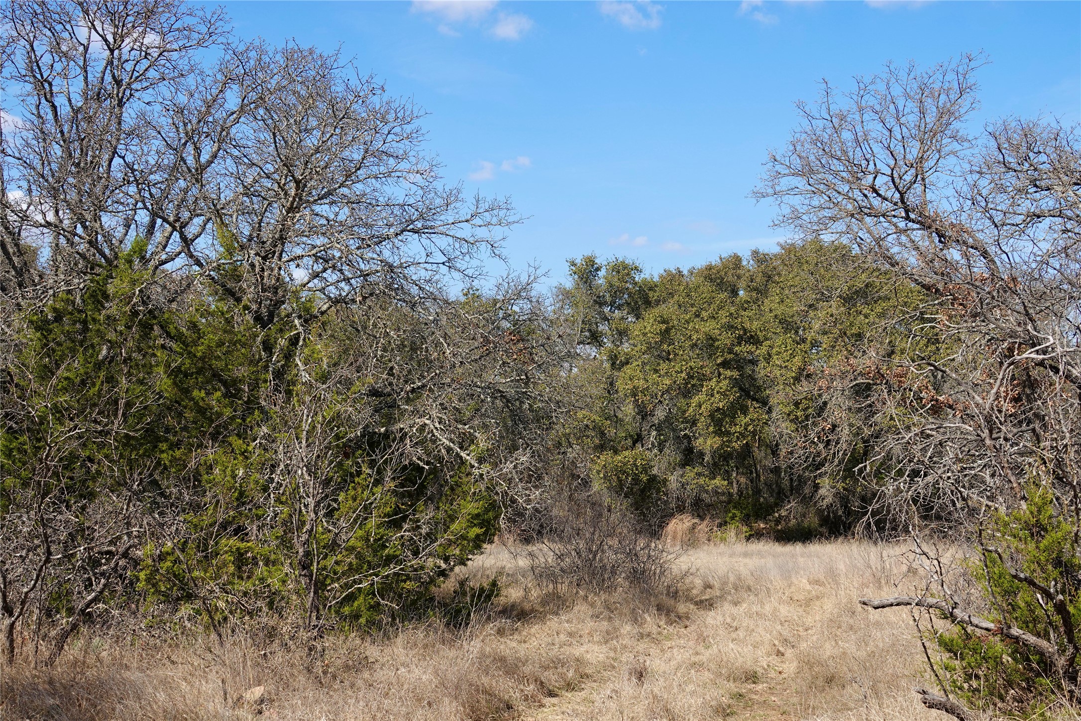 219 CR 550, Mullin, TX, 76864