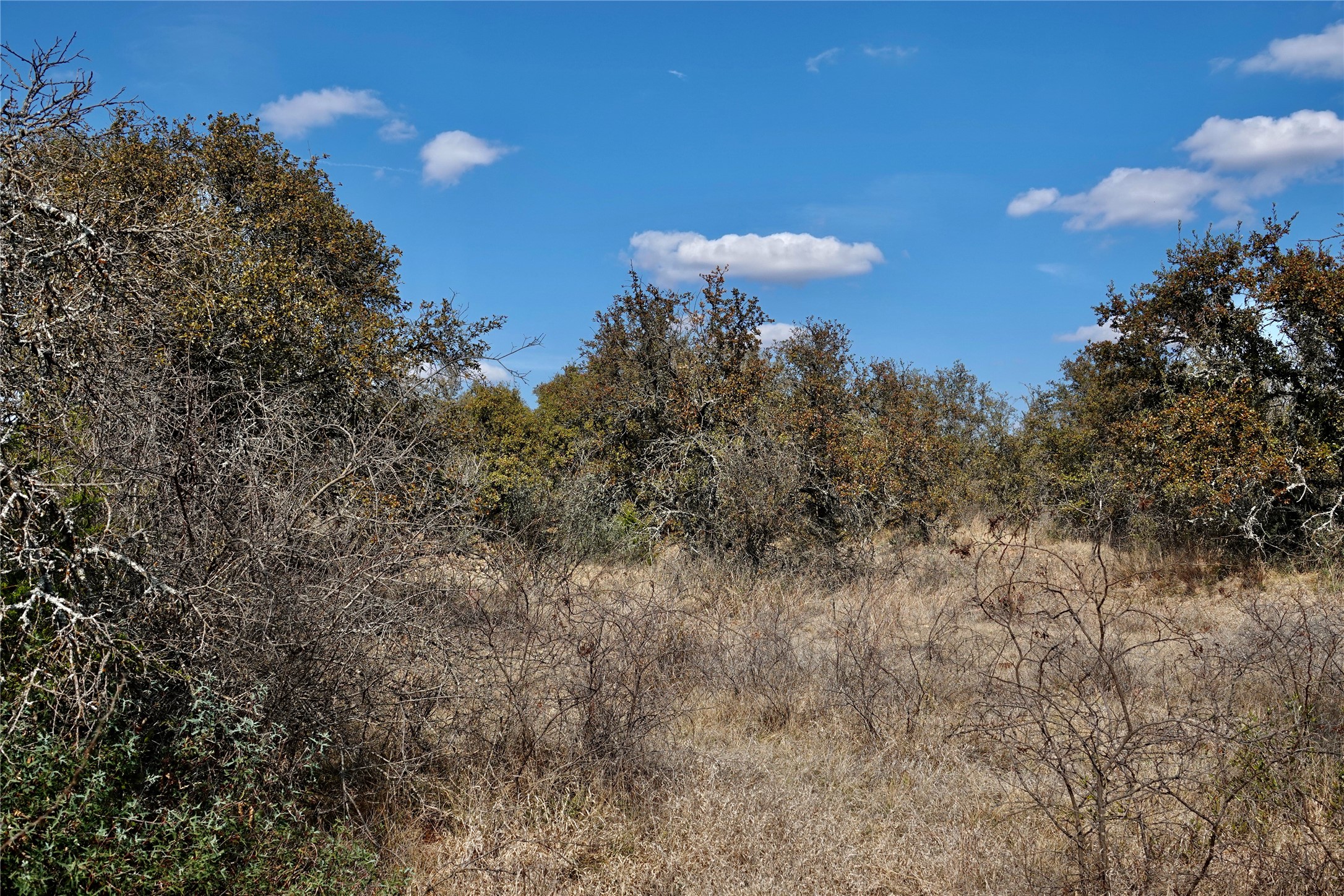 219 CR 550, Mullin, TX, 76864