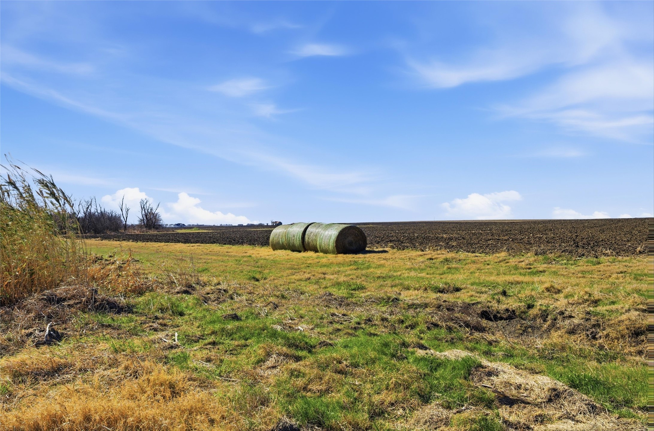 TBD 2 FM 2114 Road, Penelope, TX, 76676