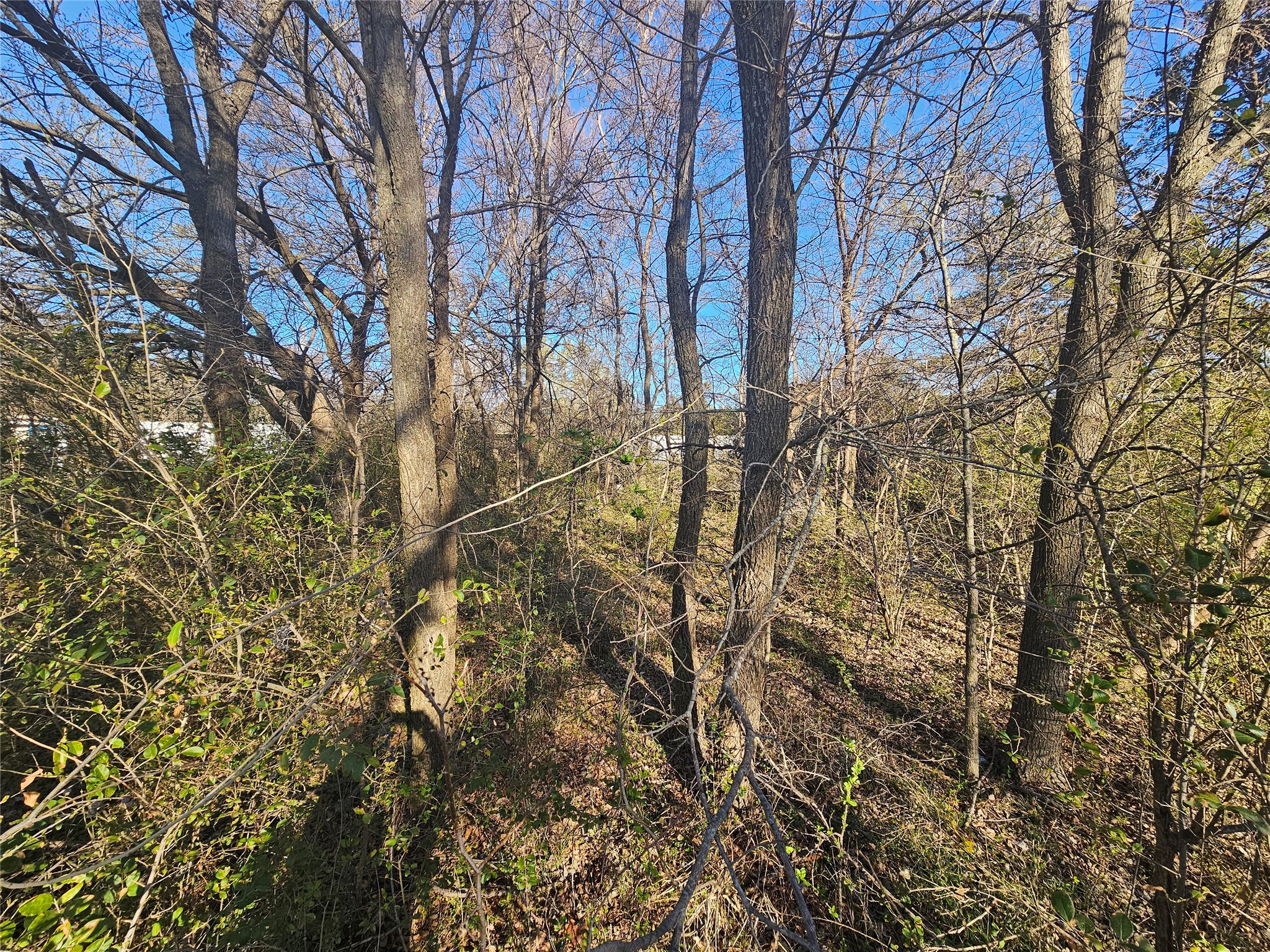 Lots 536 & 537 Choctaw Drive, Gordonville, TX, 76245