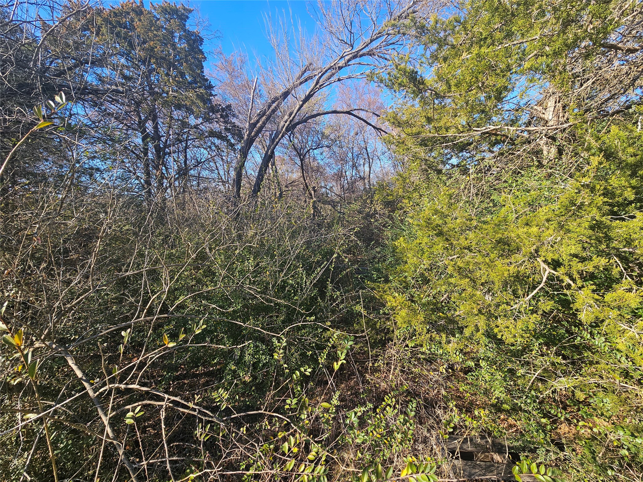 Lots 536 & 537 Choctaw Drive, Gordonville, TX, 76245