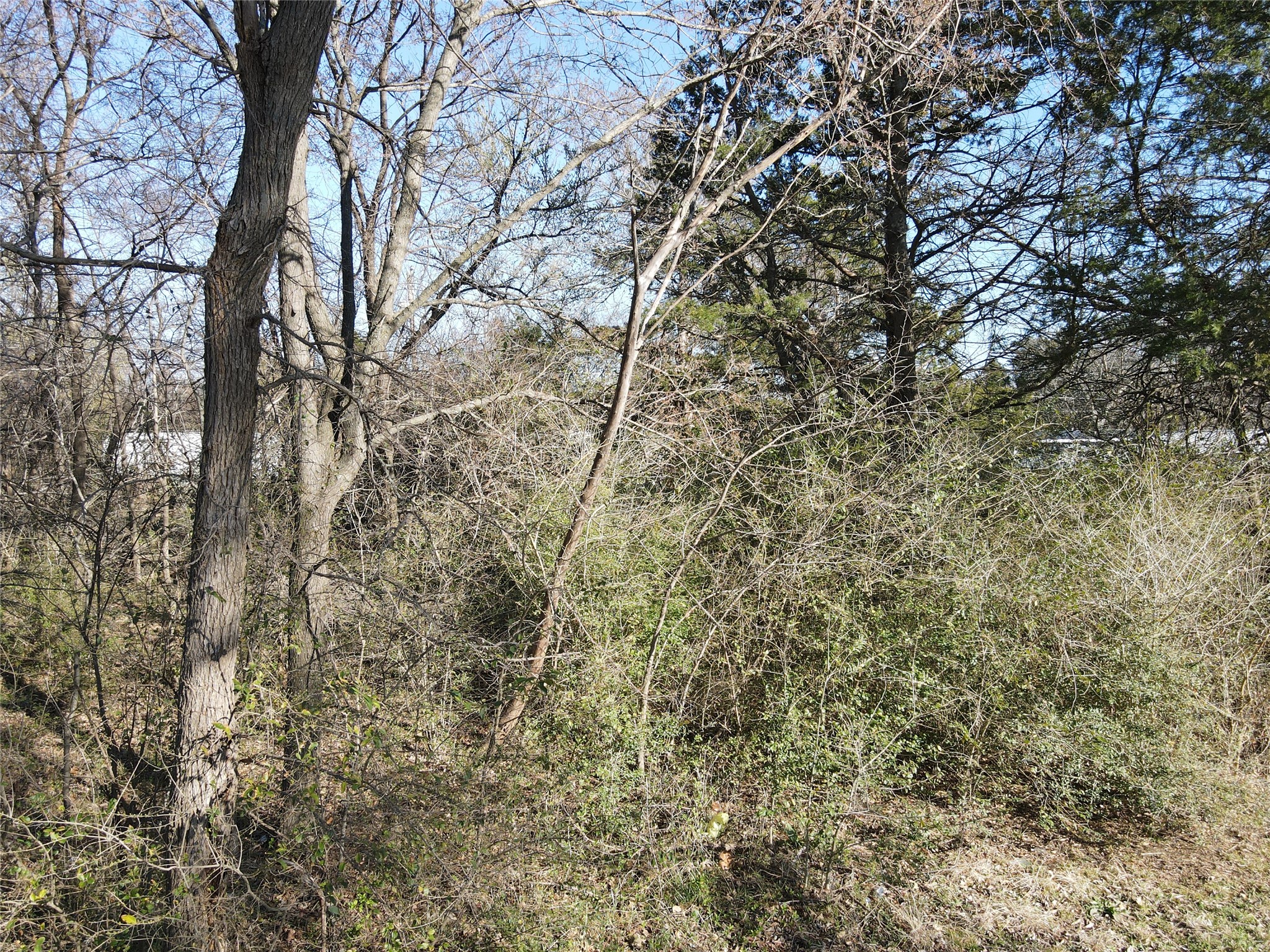 Lots 536 & 537 Choctaw Drive, Gordonville, TX, 76245