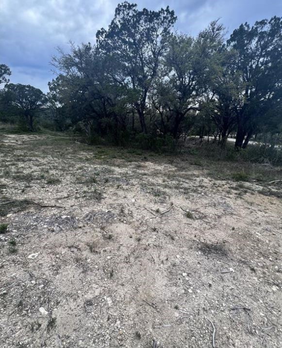 19705 Tyler Trail, Leander, TX, 78645