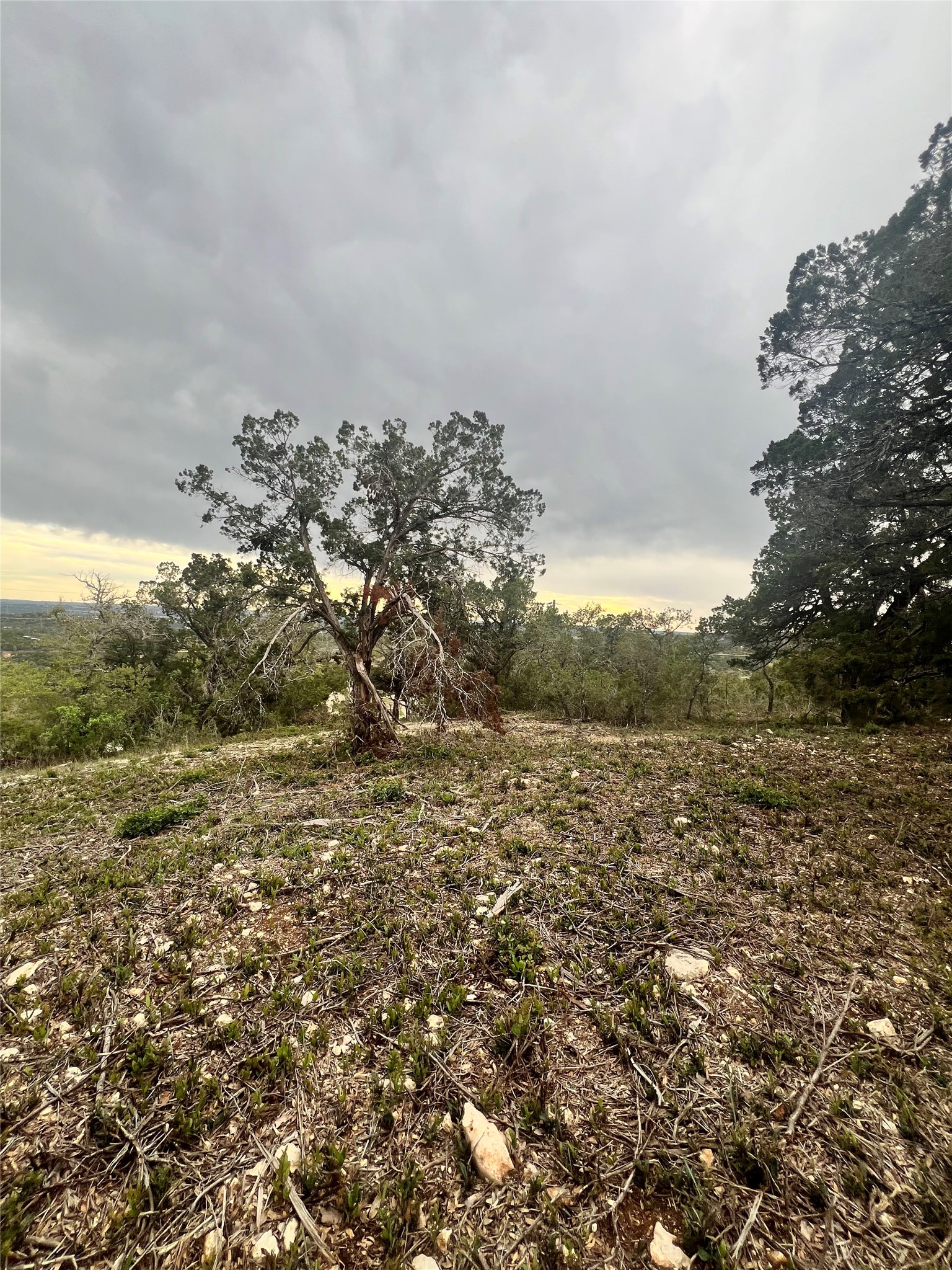 19705 Tyler Trail, Leander, TX, 78645
