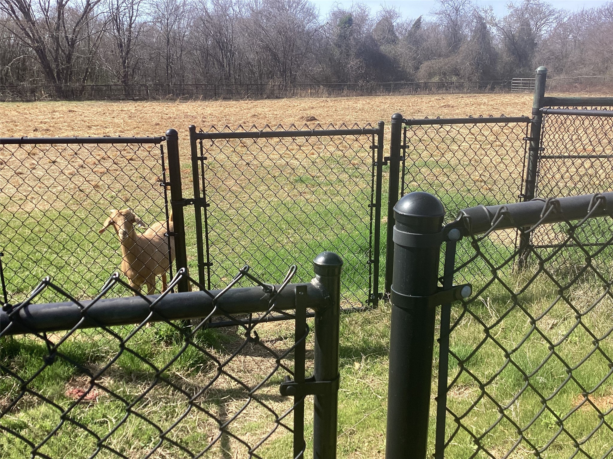 15314 Fm 3062, Malakoff, TX, 75148