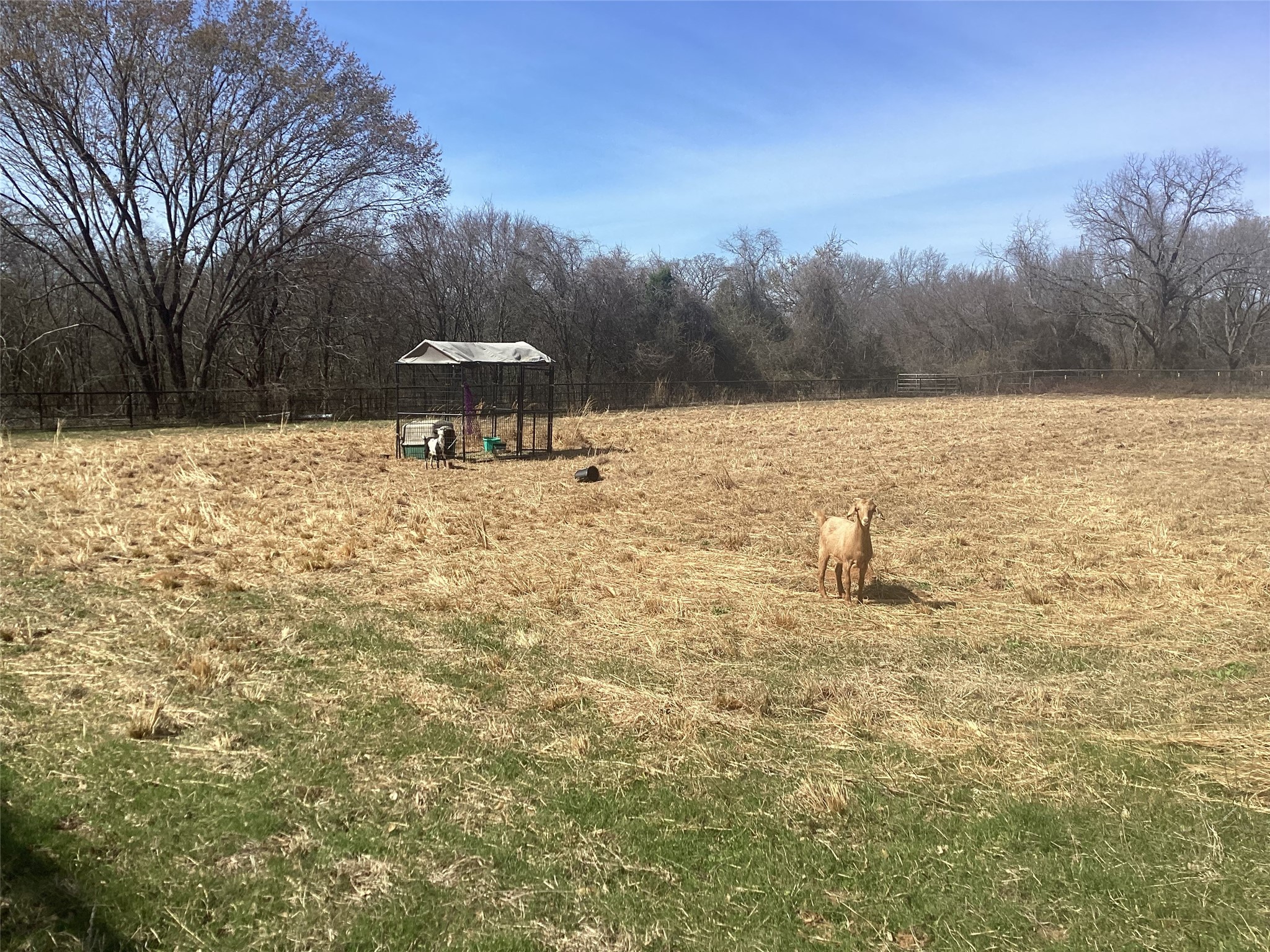 15314 Fm 3062, Malakoff, TX, 75148