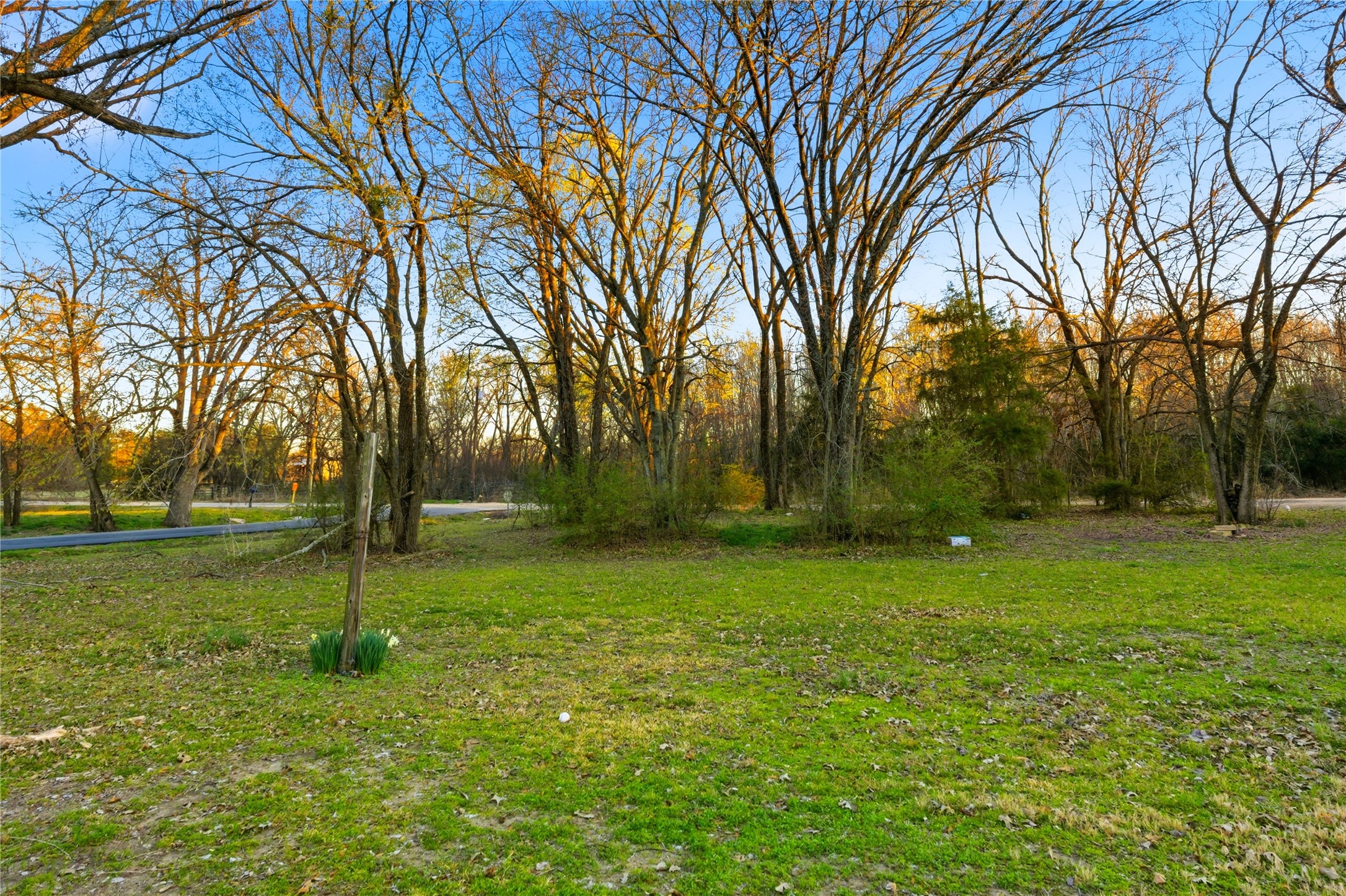 TBD Se 1st, Cooper, TX, 75432