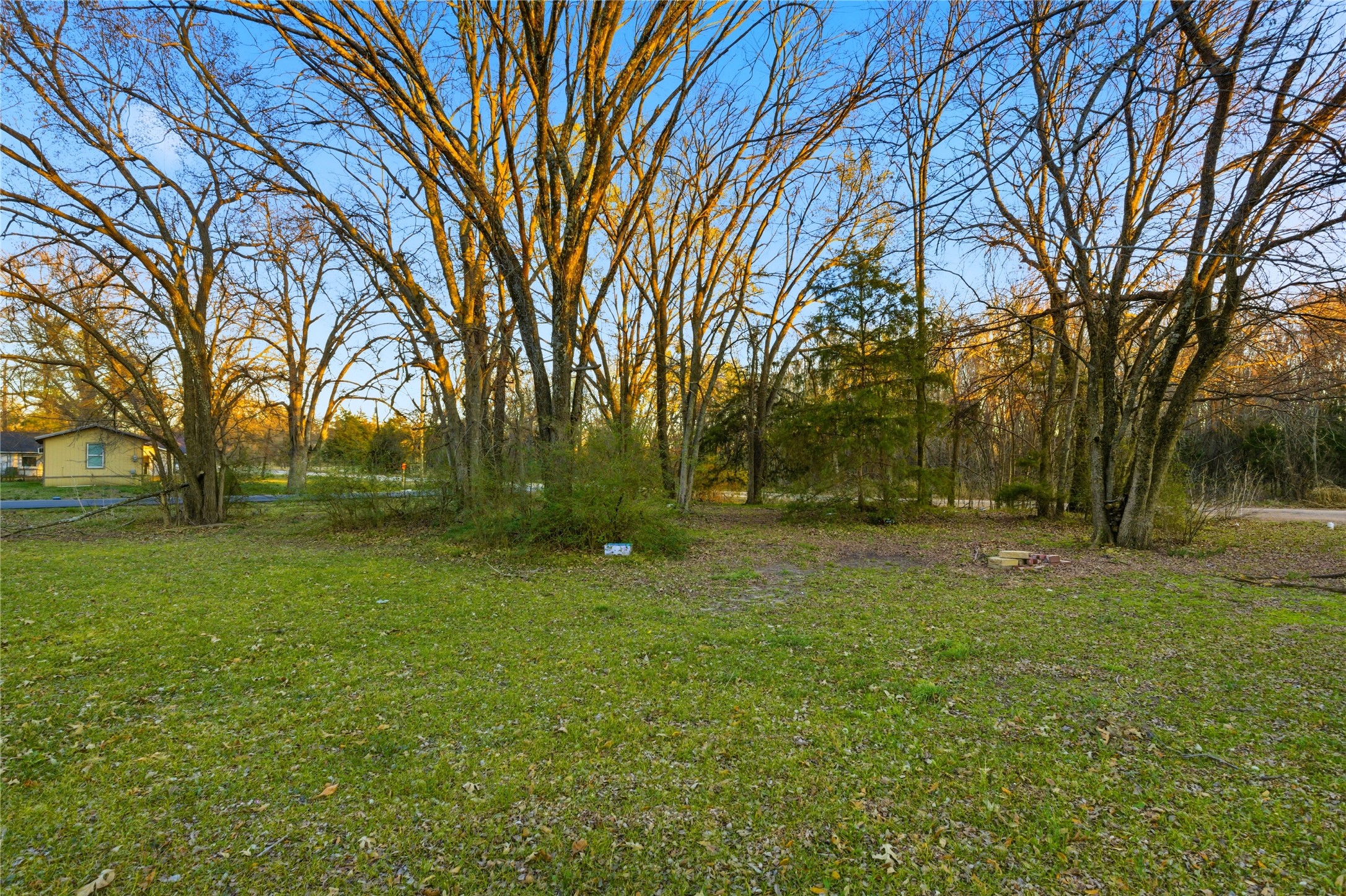 TBD Se 1st, Cooper, TX, 75432