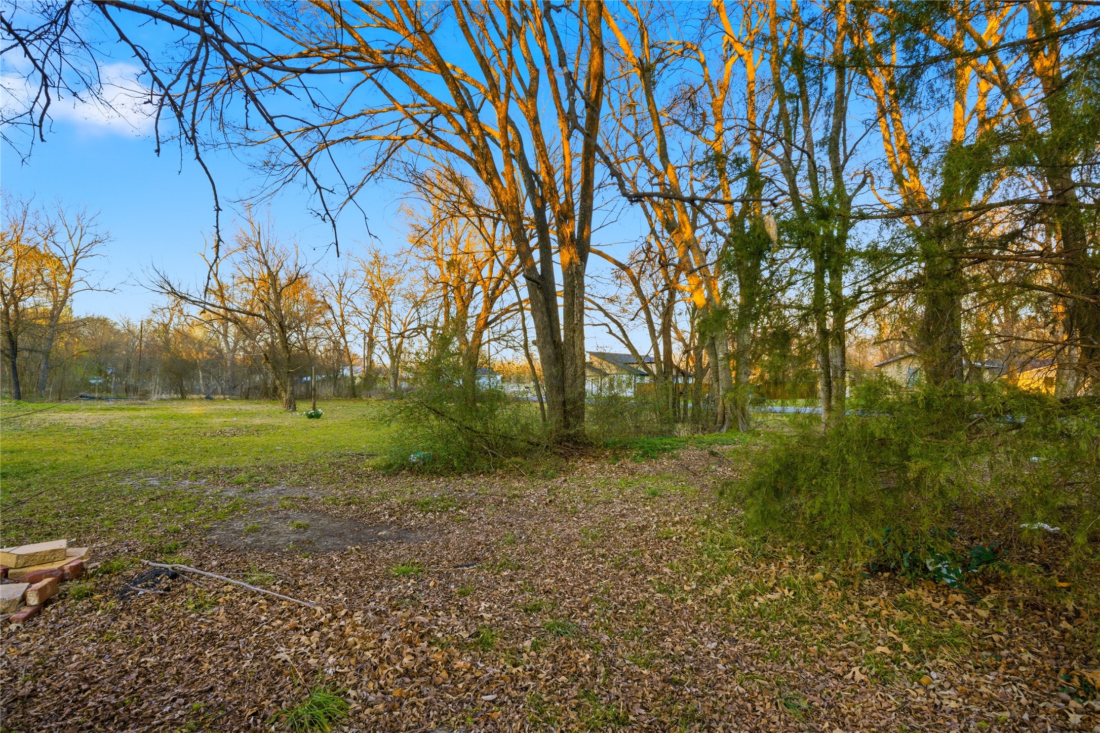 TBD Se 1st, Cooper, TX, 75432