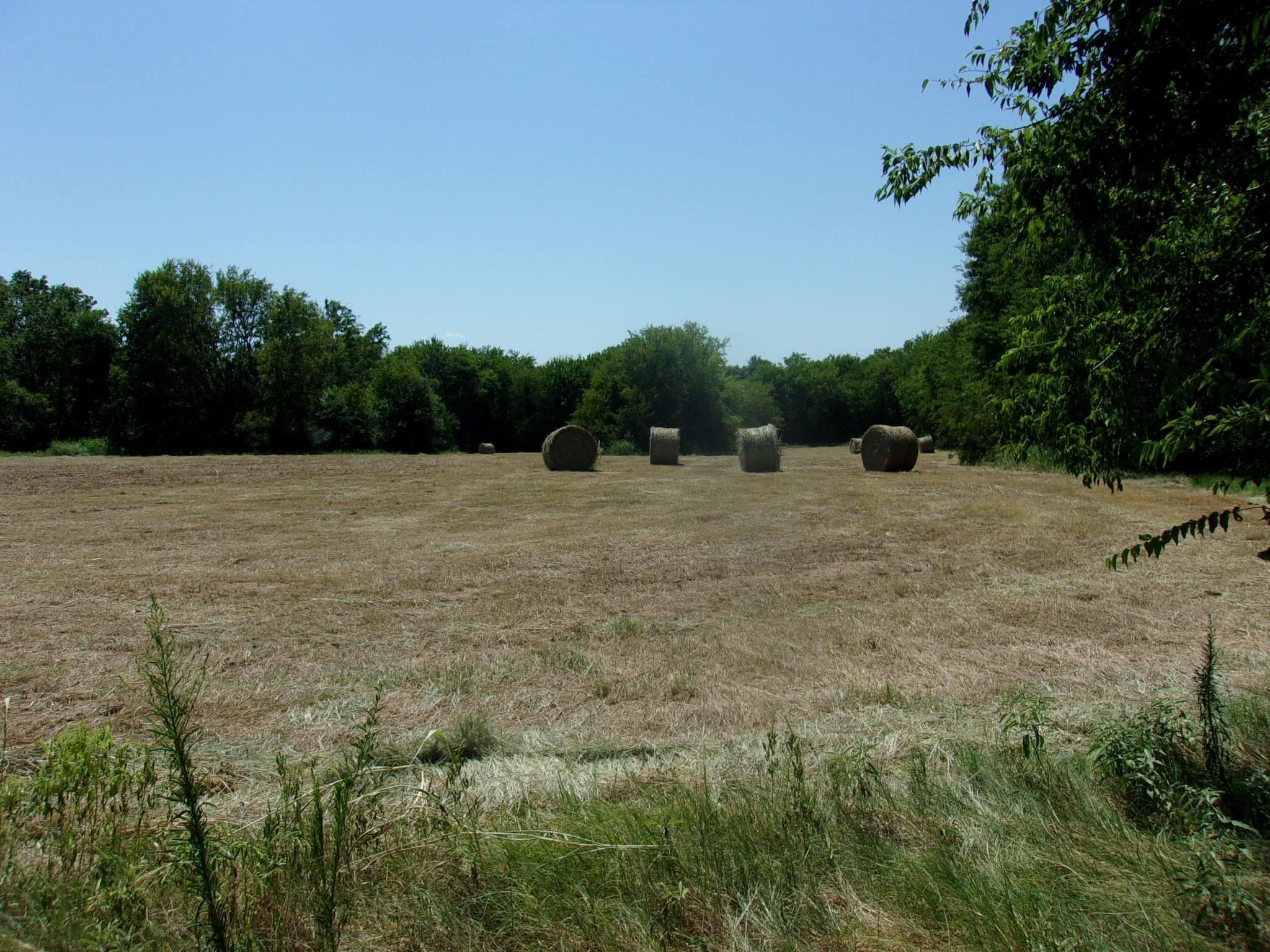 2846 County Road 2415, Pickton, TX, 75471