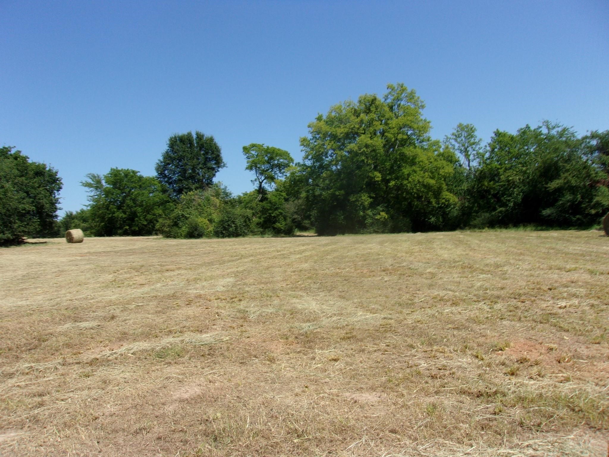 2846 County Road 2415, Pickton, TX, 75471