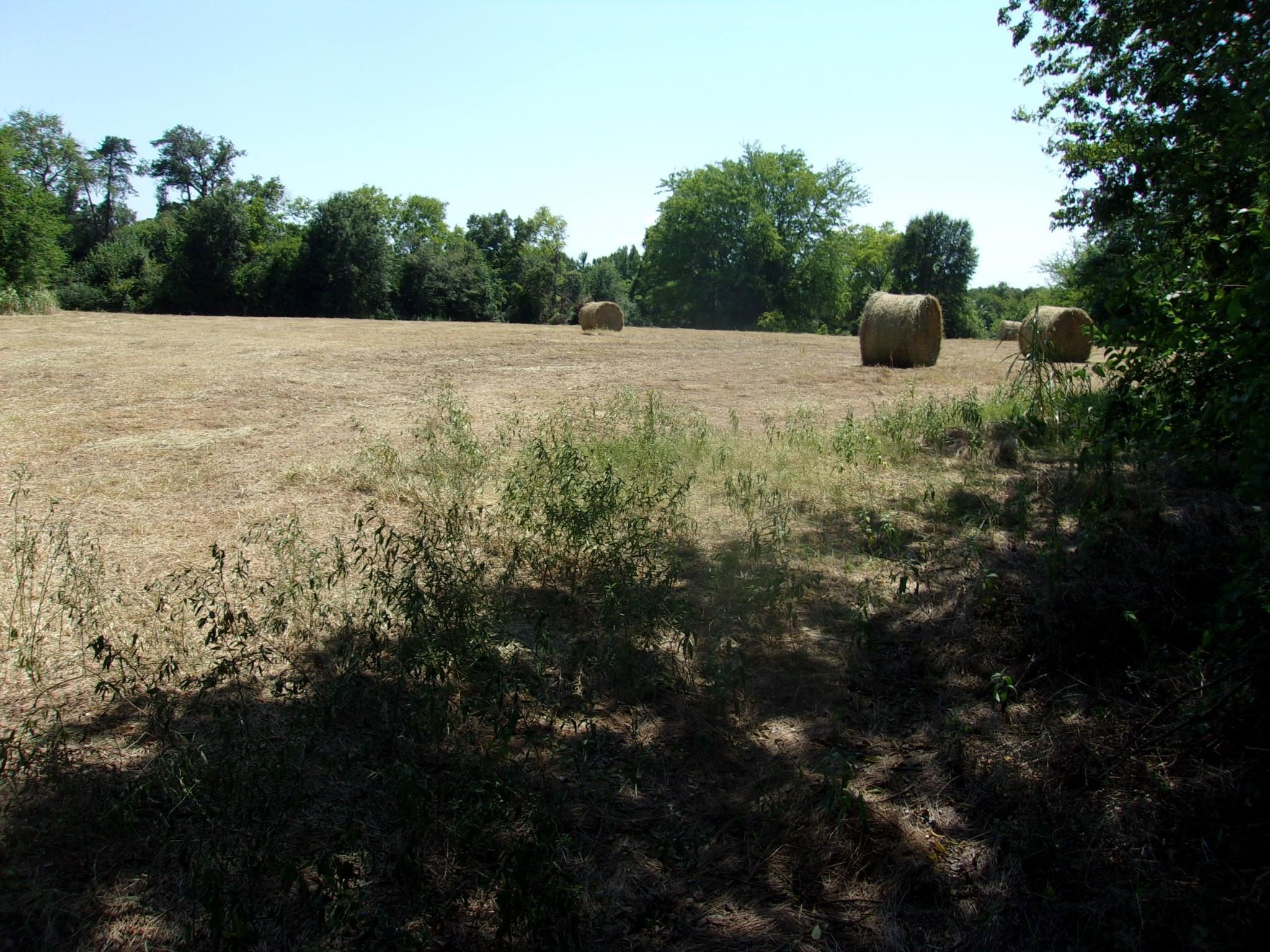 2846 County Road 2415, Pickton, TX, 75471