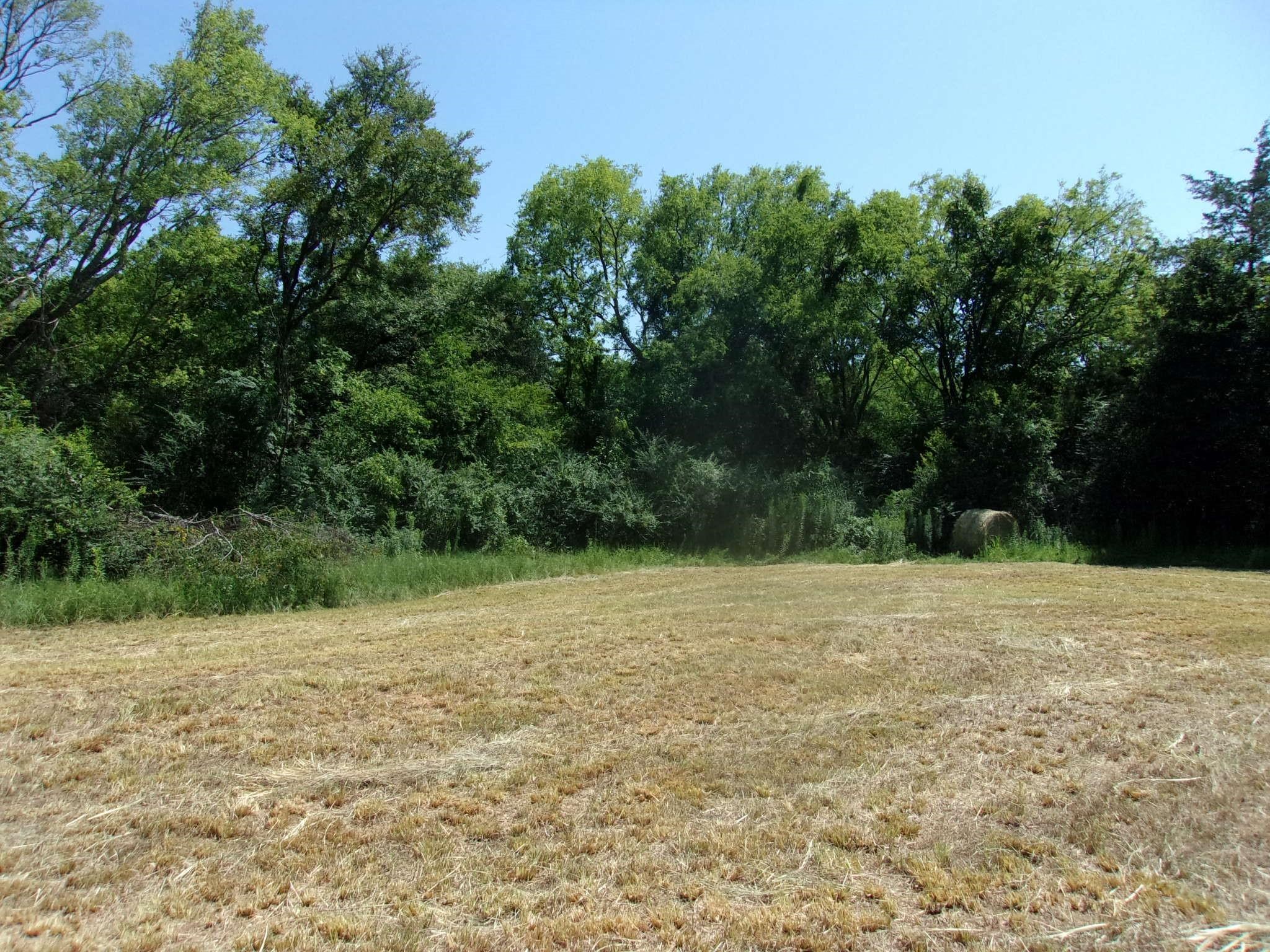 2846 County Road 2415, Pickton, TX, 75471