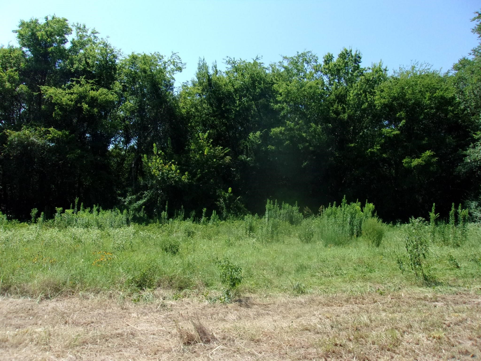 2846 County Road 2415, Pickton, TX, 75471