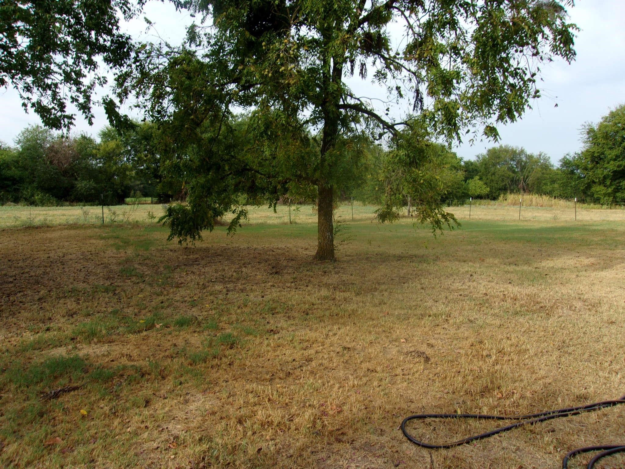 2846 County Road 2415, Pickton, TX, 75471