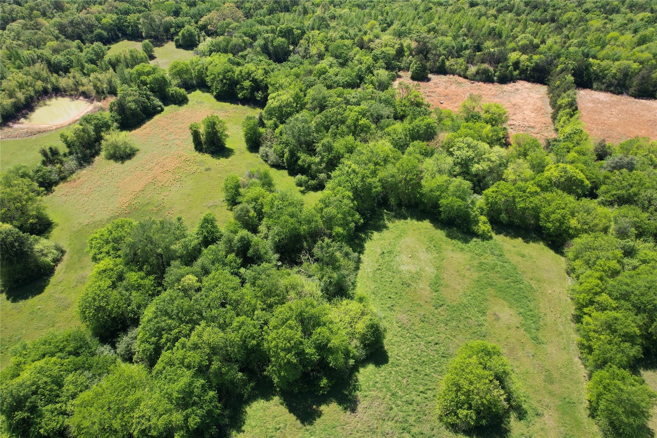 2846 County Road 2415, Pickton, TX, 75471