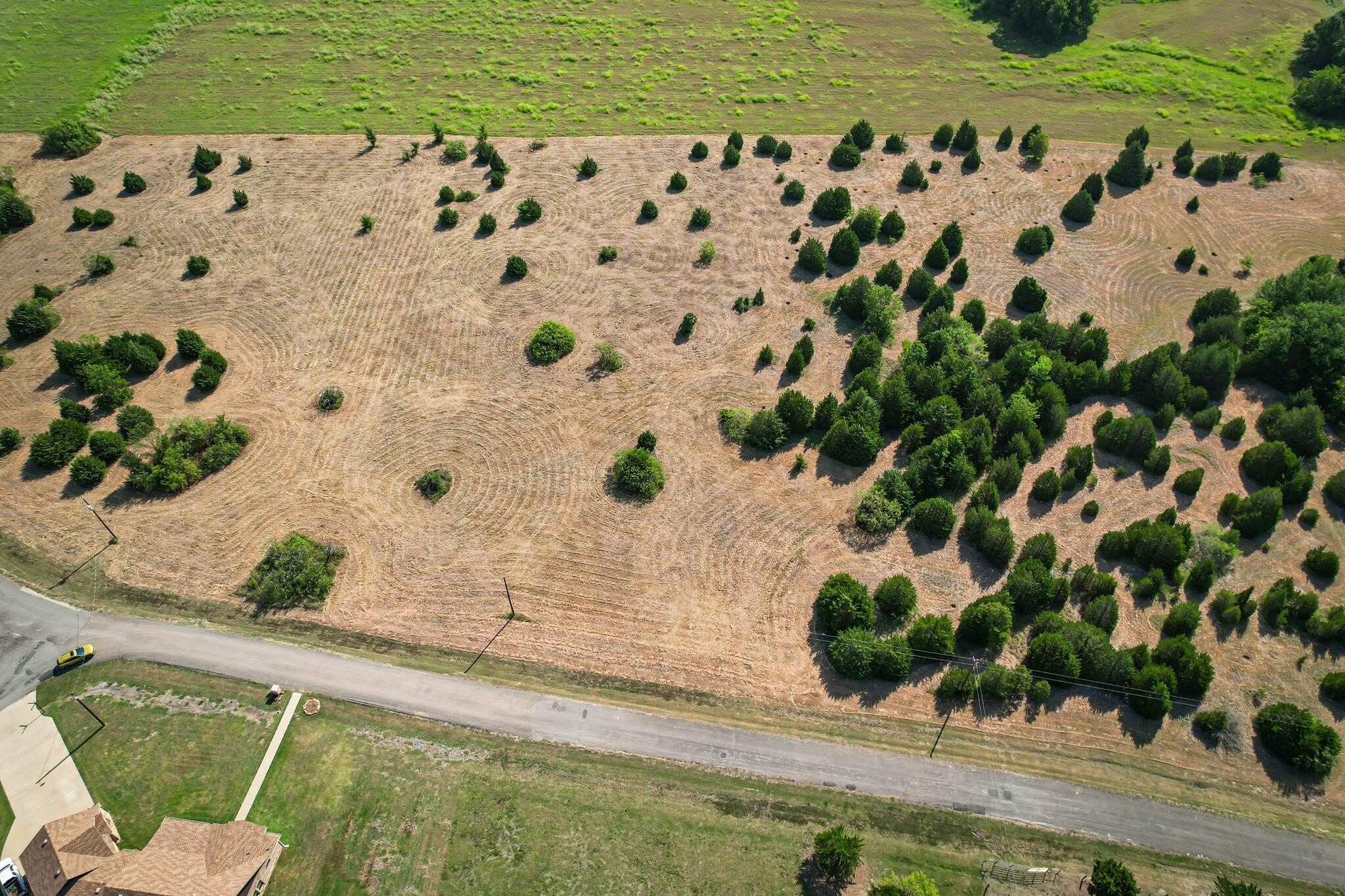 Tract 11 Baybridge Road, Kerens, TX, 75144
