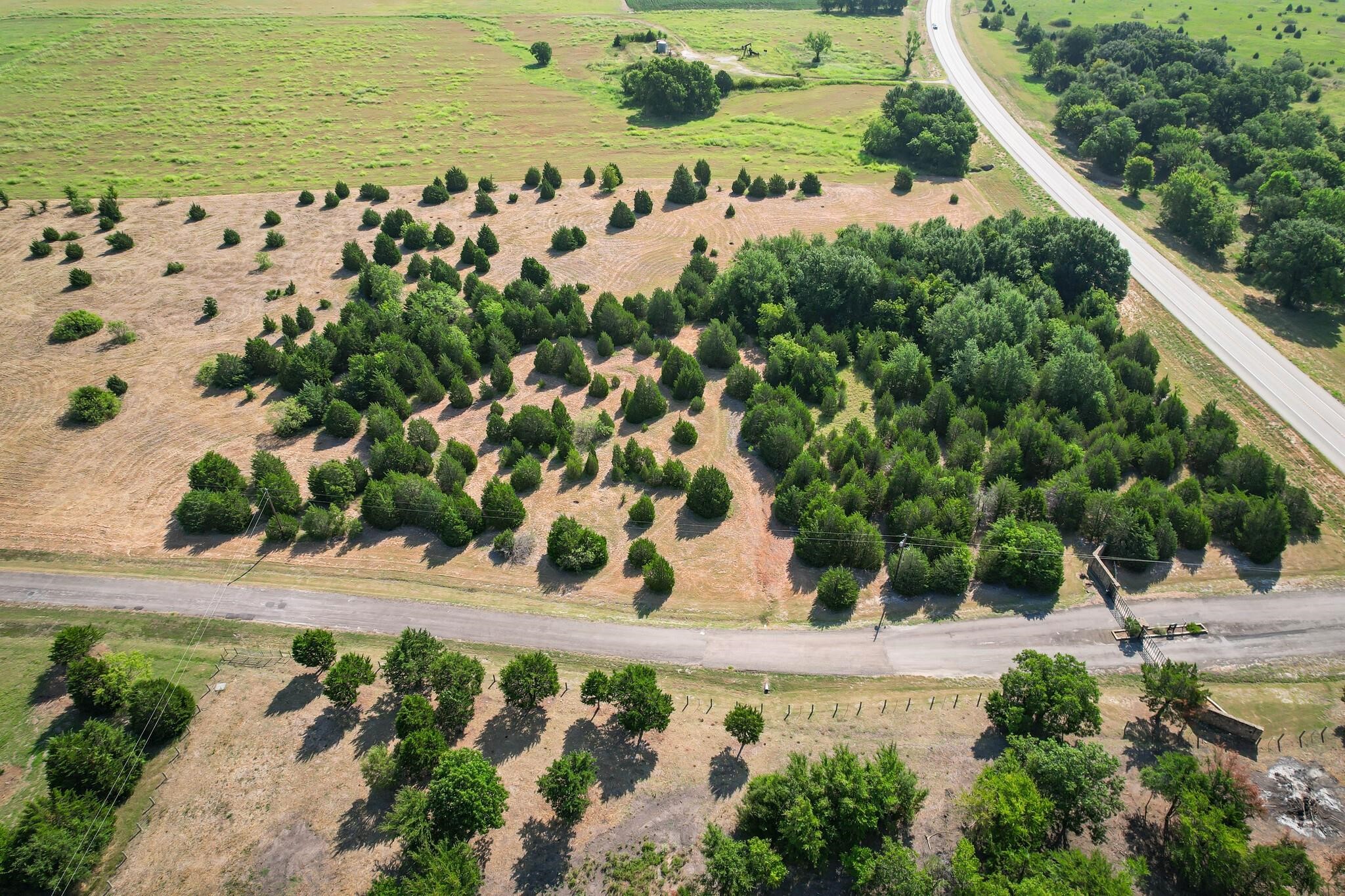 Tract 11 Baybridge Road, Kerens, TX, 75144